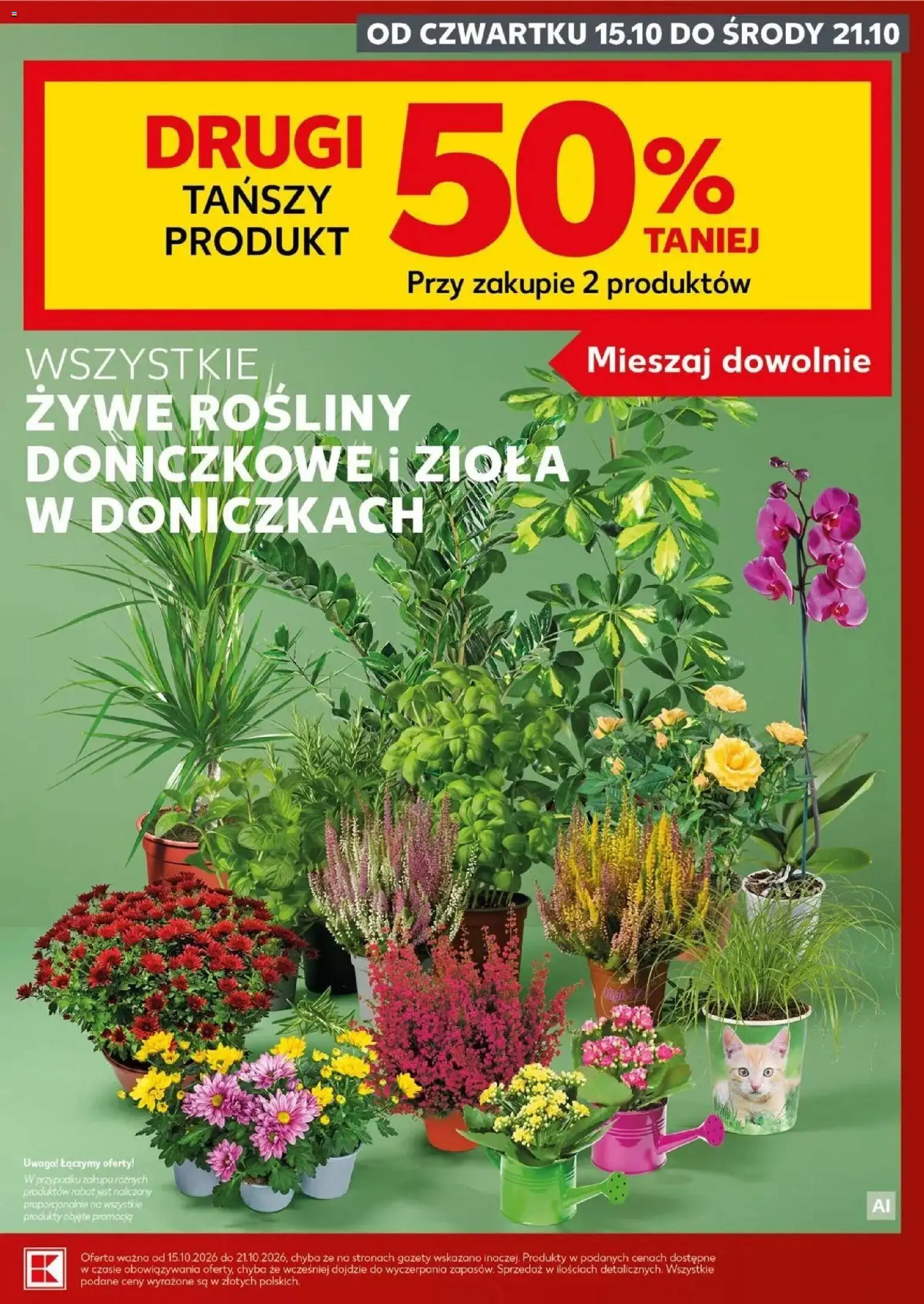 Kaufland gazetka - Mocny start od 19.10.2026 - od jutra PDF | Strona: 7 | Produkty: Gazety, Rośliny doniczkowe, Rosliny, Zioła