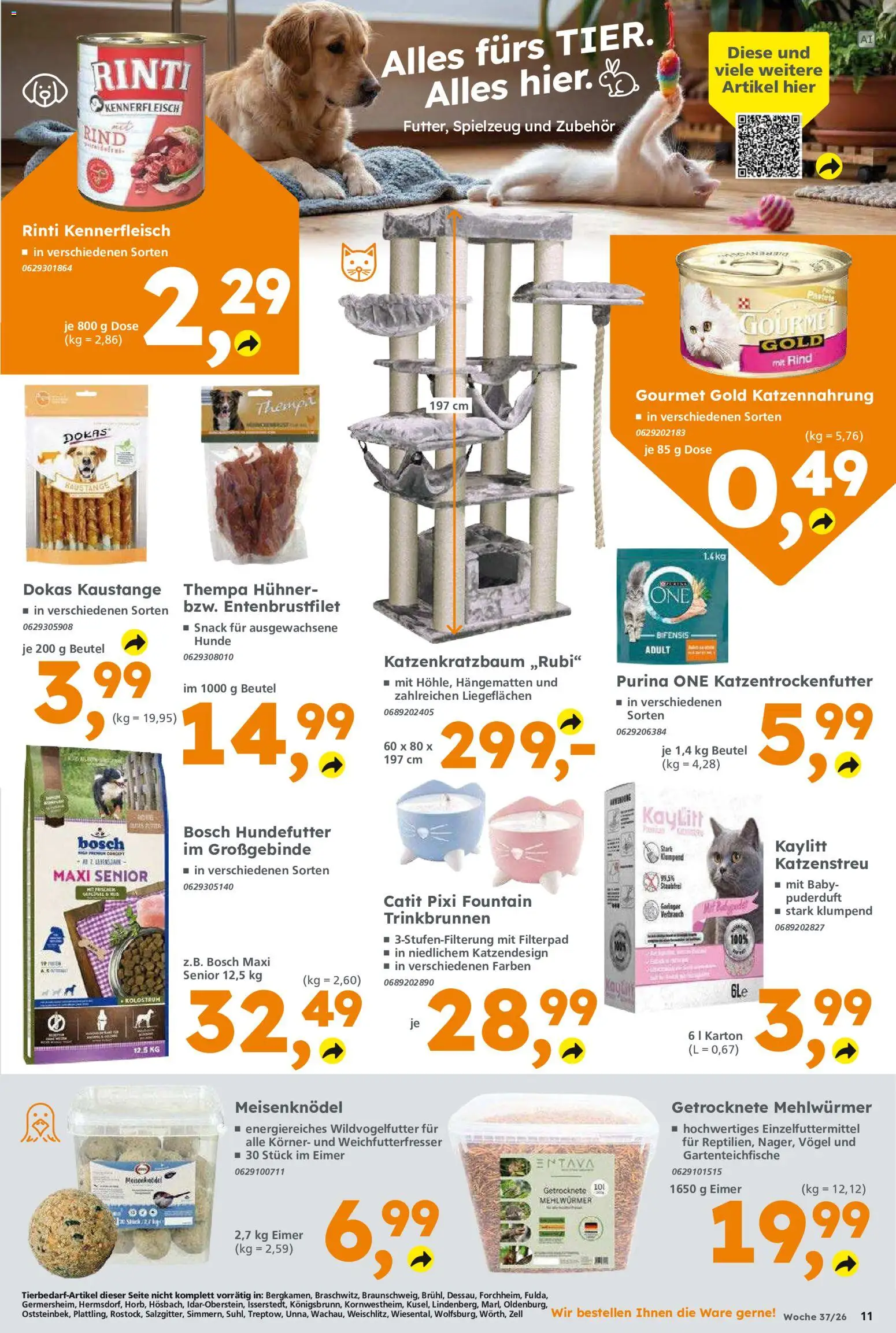Globus Baumarkt Prospekt Berlin-Treptow – gültig ab 07.09.2026 | Seite: 11 | Produkte: Purina one, Bosch