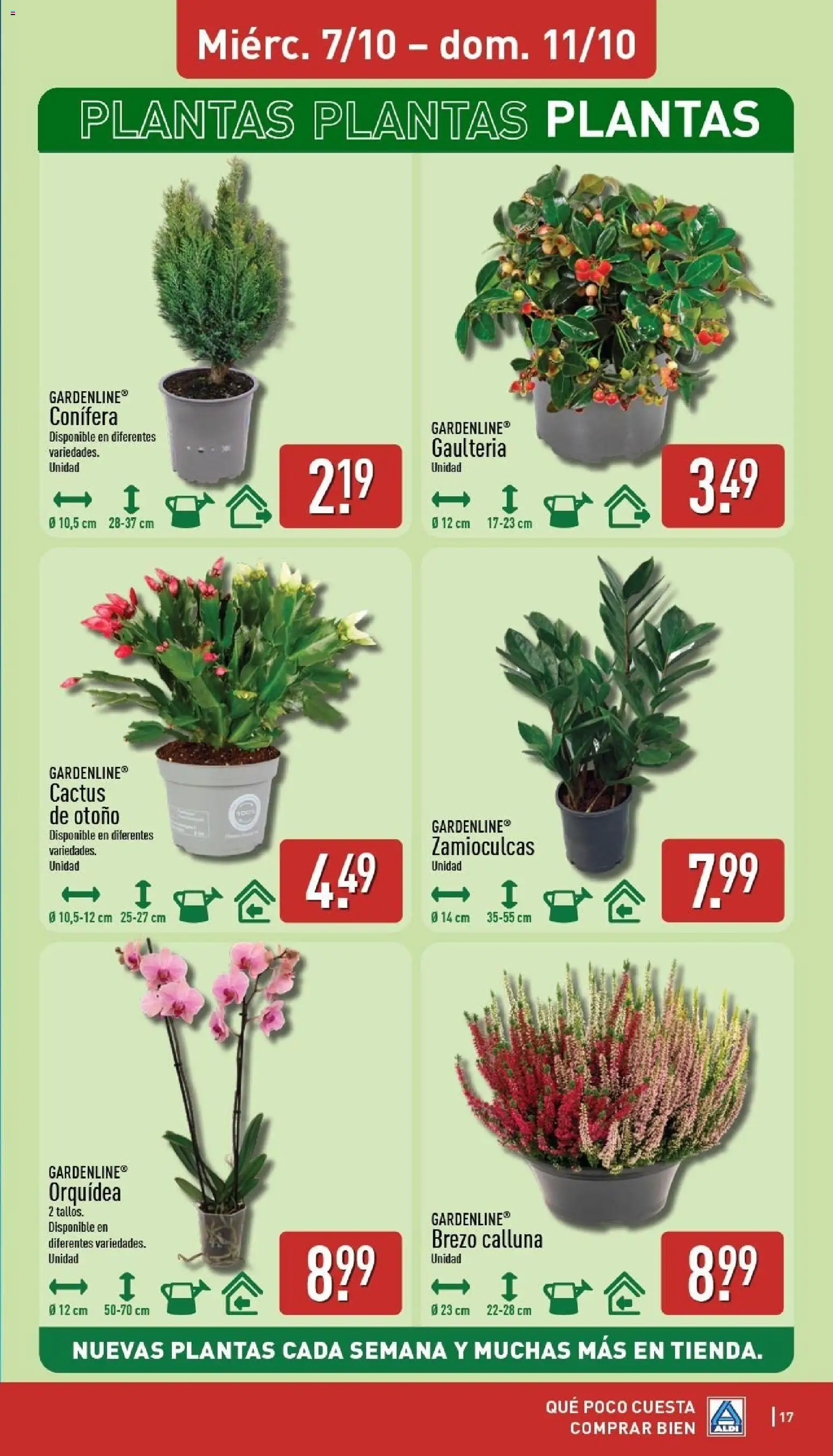 Aldi folleto Baleares │ válido desde el 05/10/2026 | Página: 17 | Productos: Orquídea, Brezo