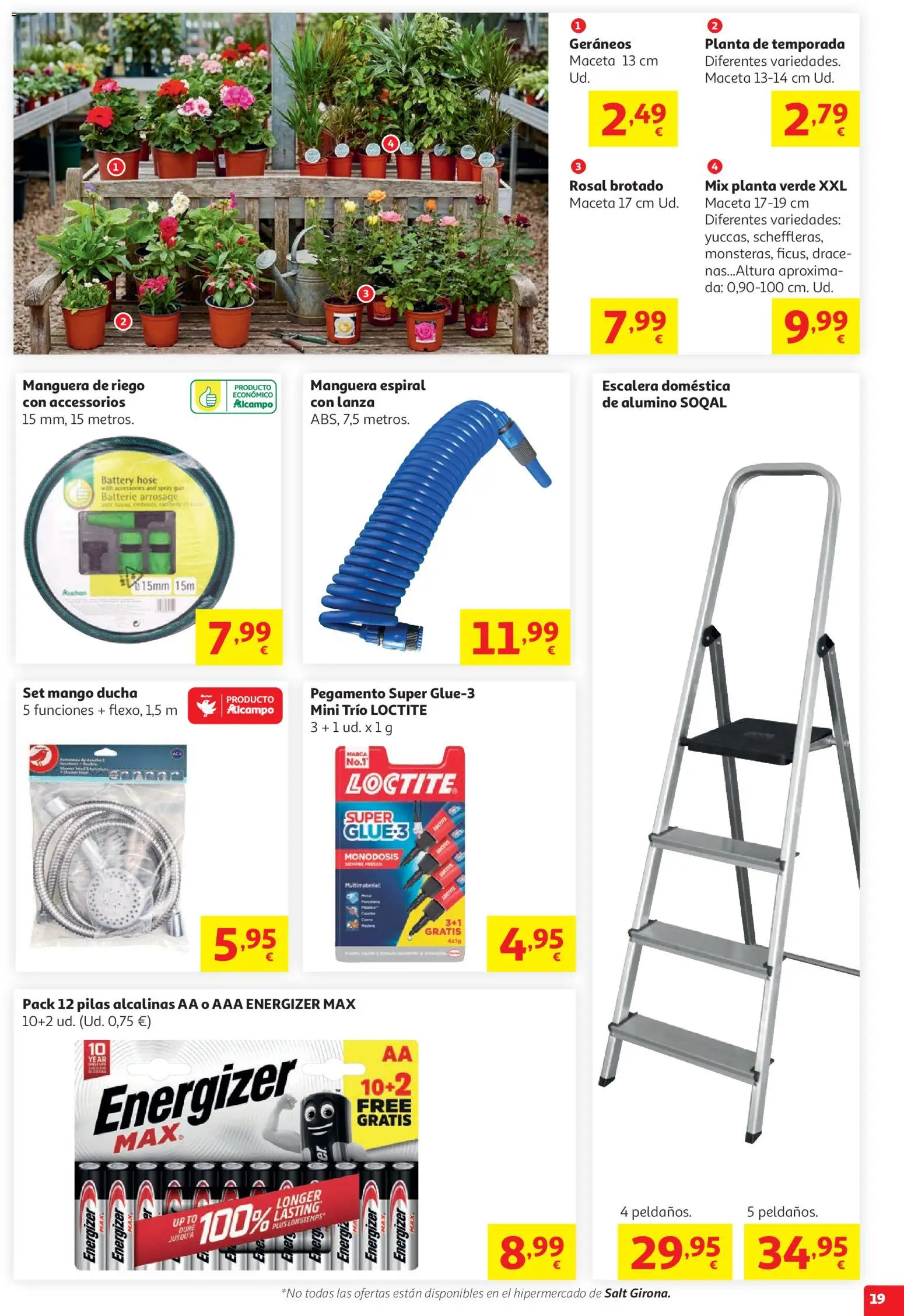 Alcampo HP Catalan │ válido desde el 05.05.2026 | Página: 19 | Productos: Manguera, Ρούτερ, Ducha, Maceta