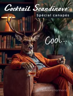 Cocktail Scandinave - Prévisualisation de Cocktail Scandinave catalogue Spécial canapés valide à partir de 21/10/2026
