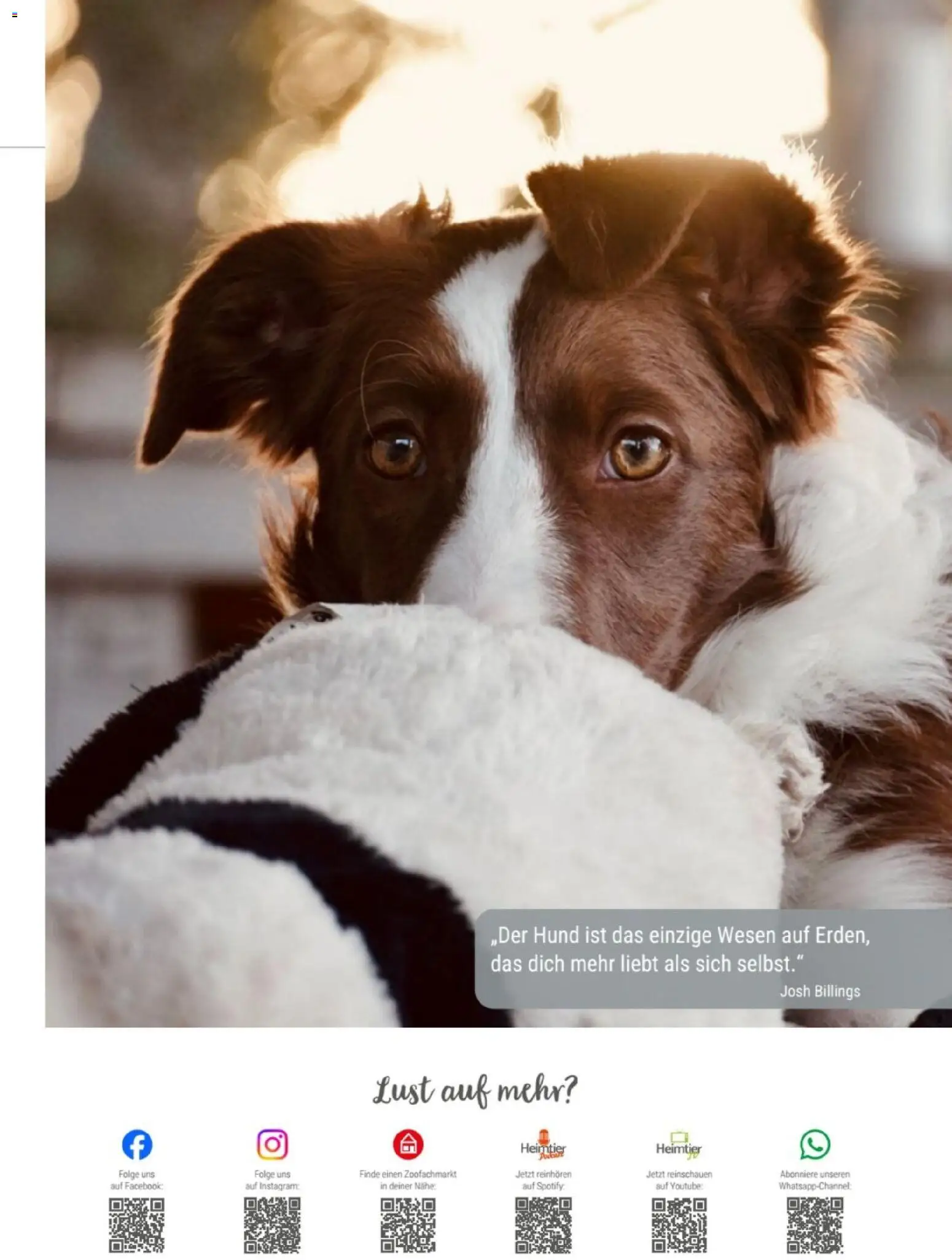 zookauf Themenkatalog Hund – gültig ab 18.05.2026 | Seite: 3