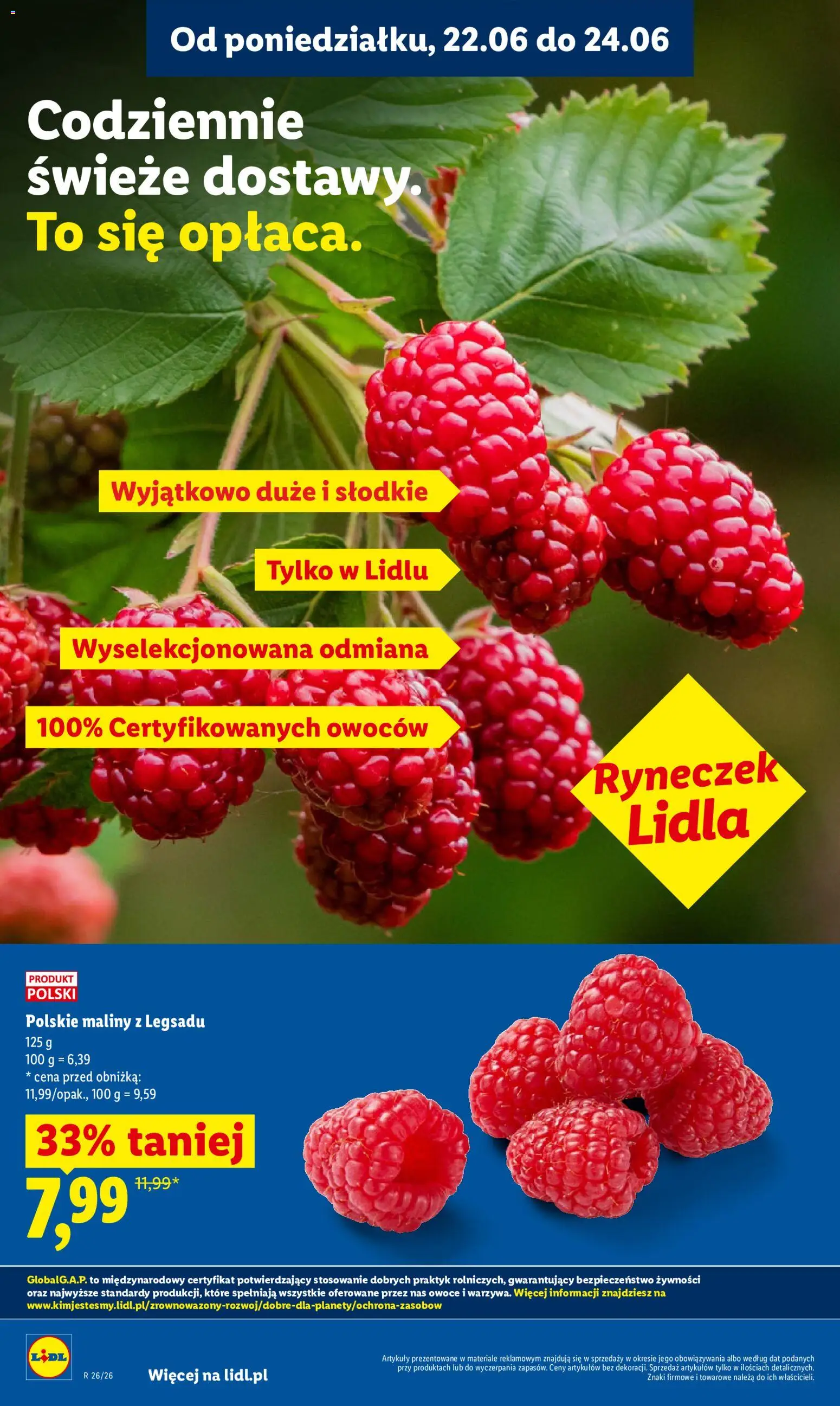 Lidl gazetka od 22.06.2026 | Strona: 36