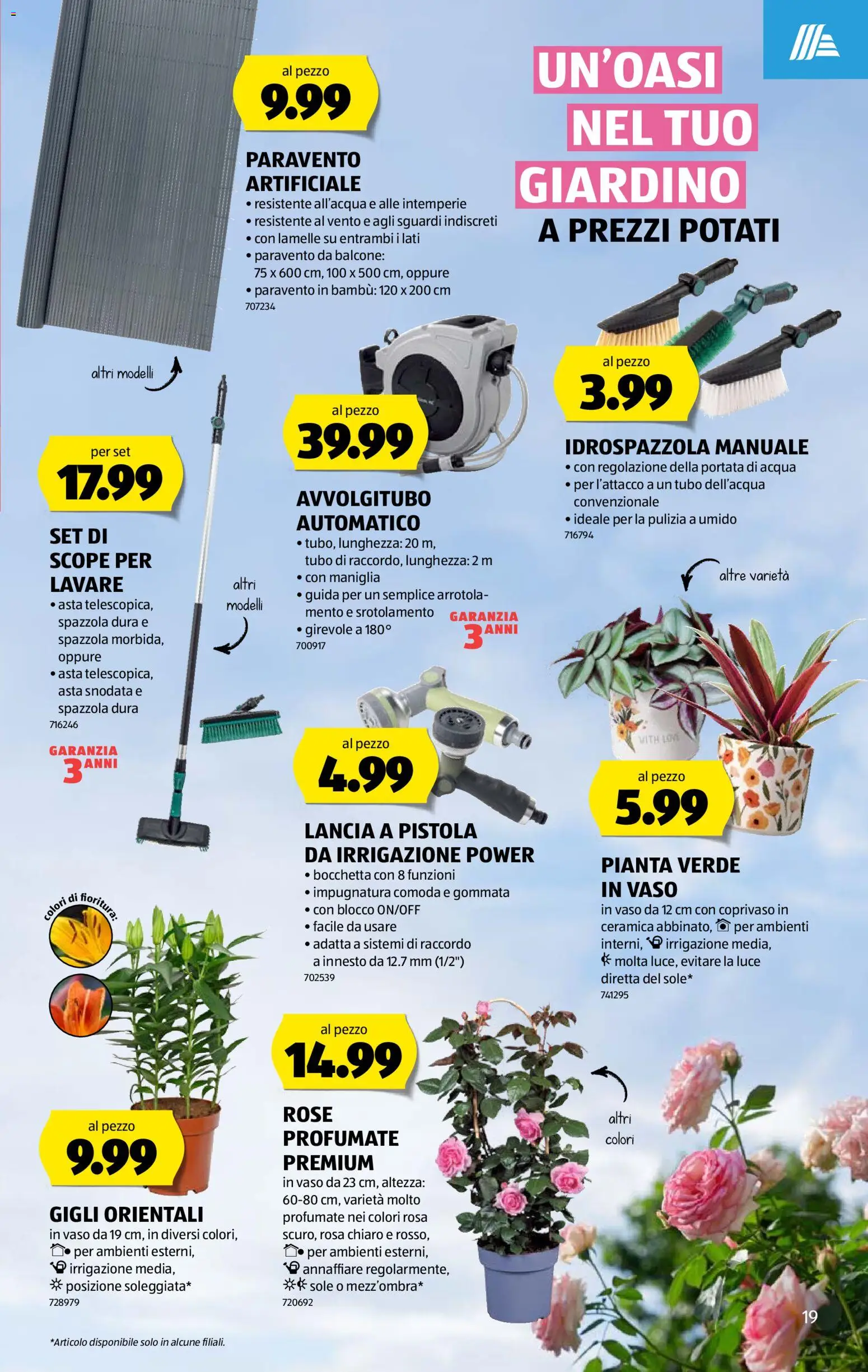 Aldi aktionen IT – gültig ab 04.06.2026 | Seite: 19