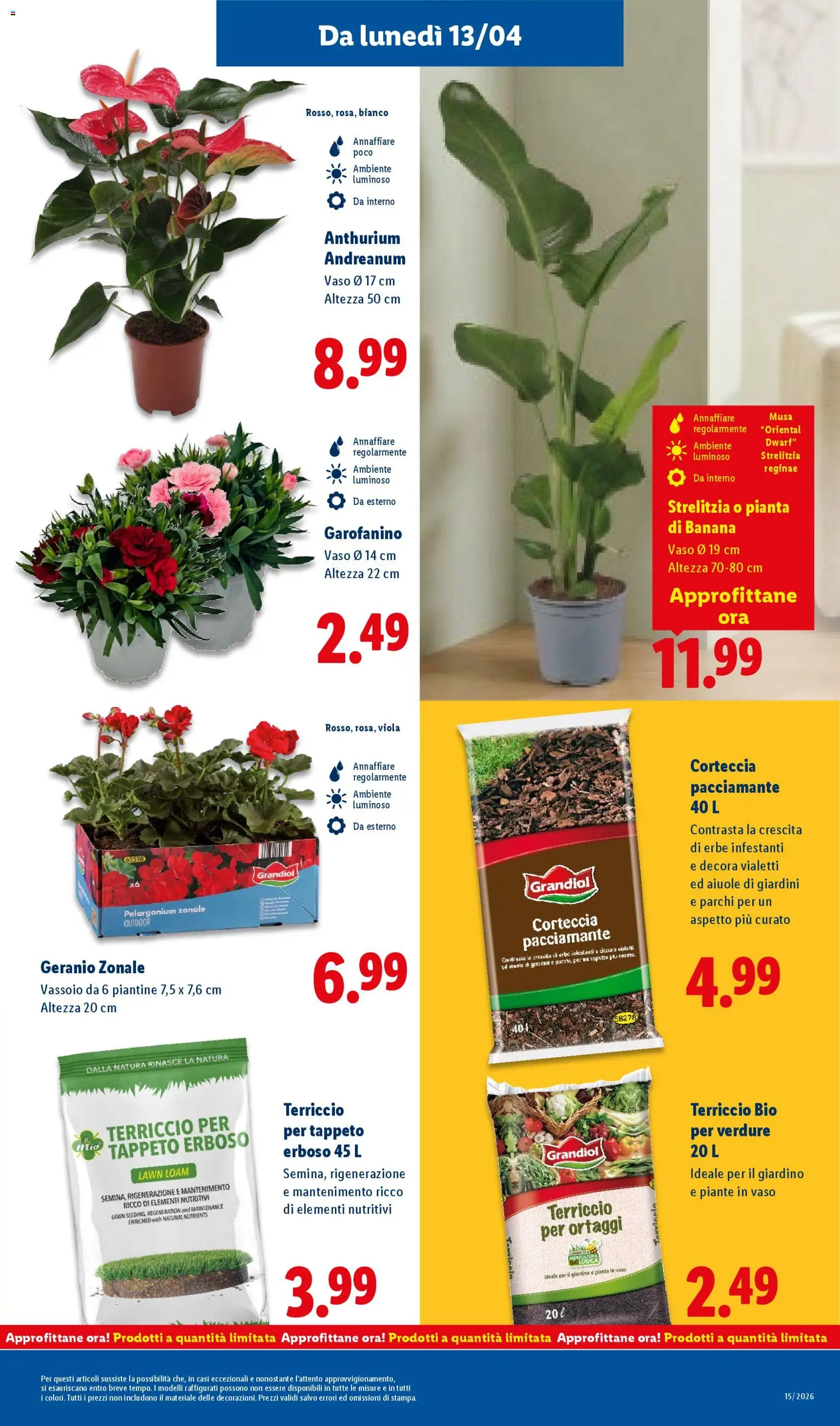Volantino Lidl del 09.04.2026 | Pagina: 33 | Prodotti: Verdure, Terriccio, Vassoio, Vaso