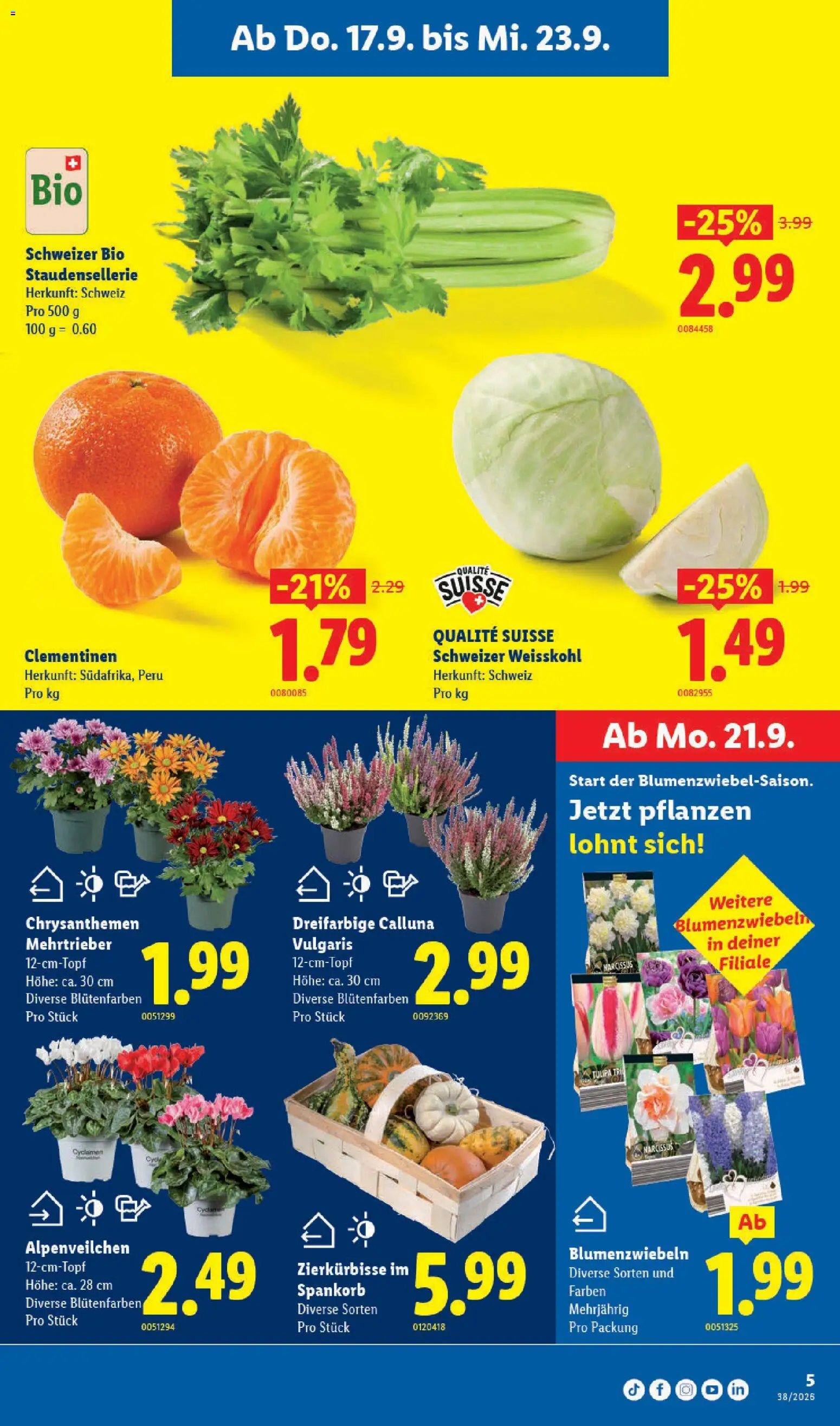 Lidl aktionen – gültig ab 17.09.2026 | Seite: 5