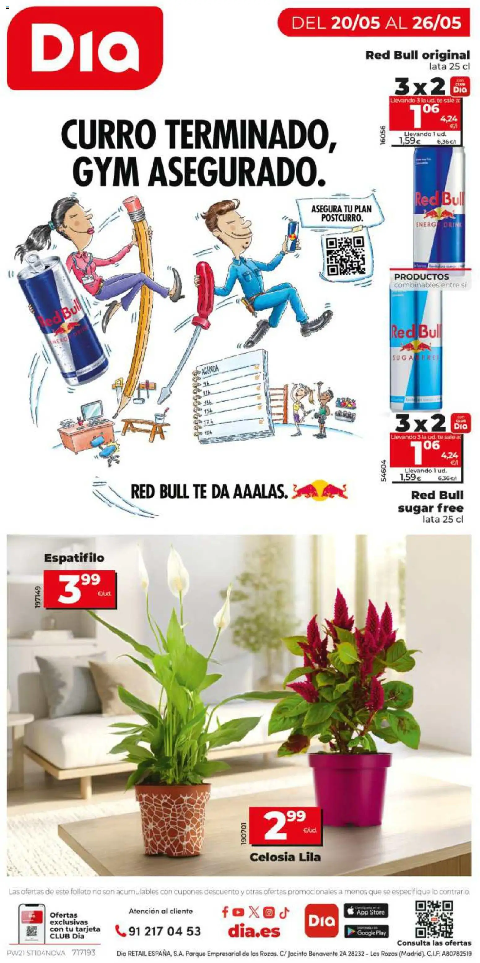 Dia - folleto Market │ válido desde el 20.05.2026 | Página: 12 | Productos: Té