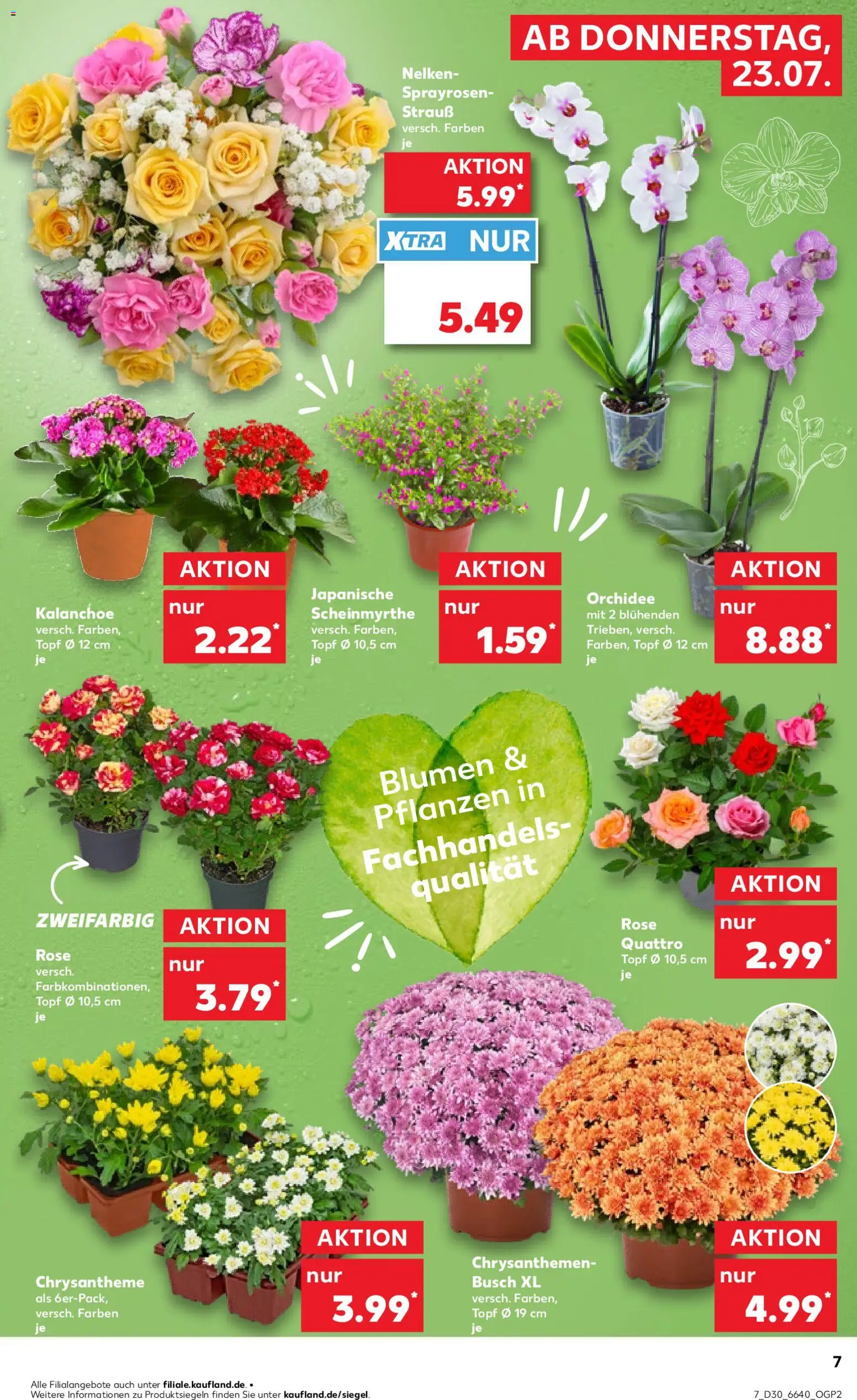 Prospekt Kaufland ab 23.07.2026 » Angebote und Werbung Online — page 6