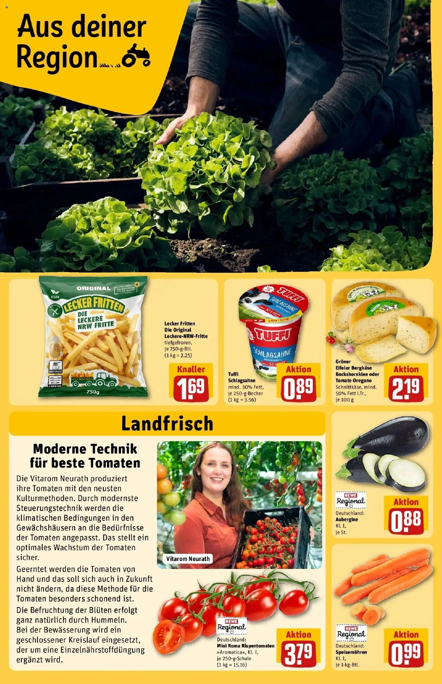 Rewe Prospekt Zülpich	 – gültig ab 23.03.2026 | Seite: 26 | Produkte: Schlagsahne, Tomaten, Aubergine, Fritteuse