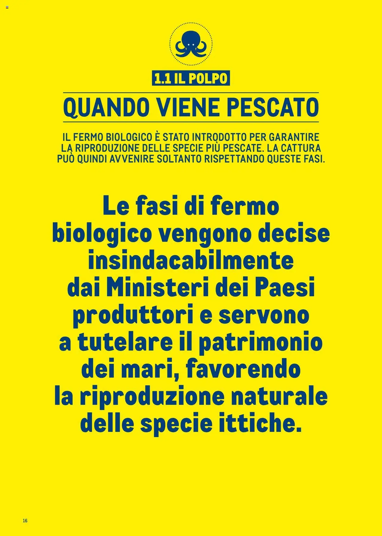 Volantino Metro del 30.06.2025 | Pagina: 16 | Prodotti: Polpo