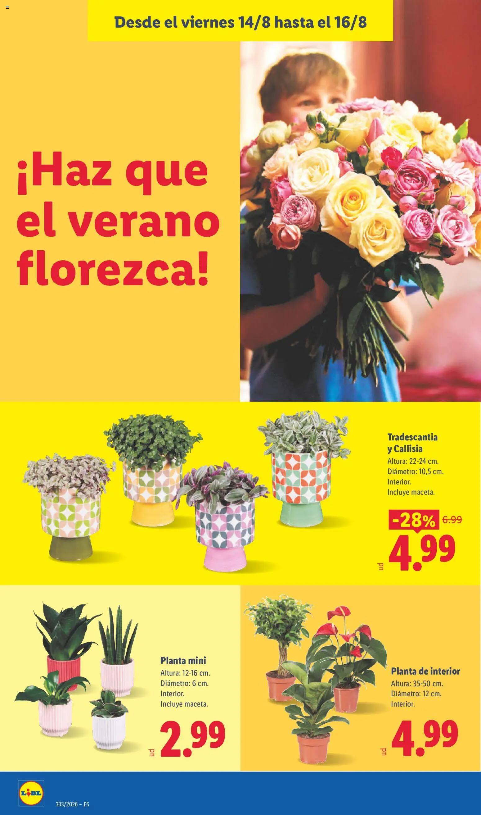 Lidl folleto │ válido desde el 10/08/2026 | Página: 56