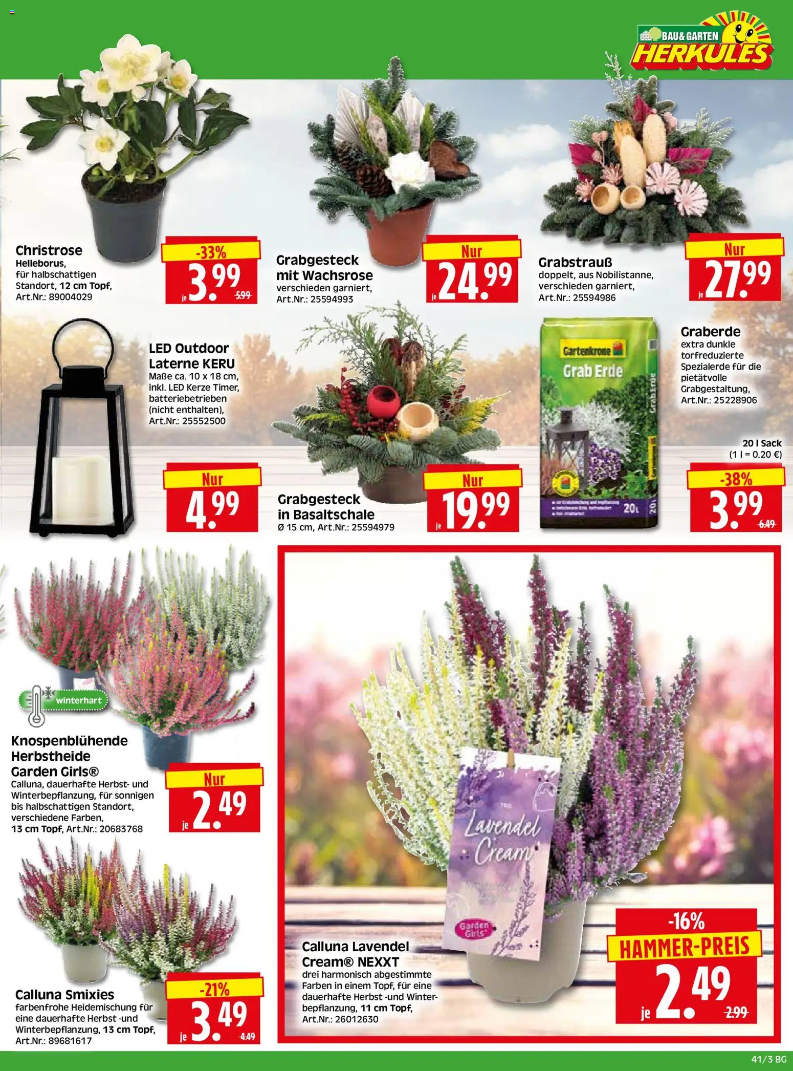 HERKULES Bau & Garten – gültig ab 05.10.2026 | Seite: 3 | Produkte: Lavendel