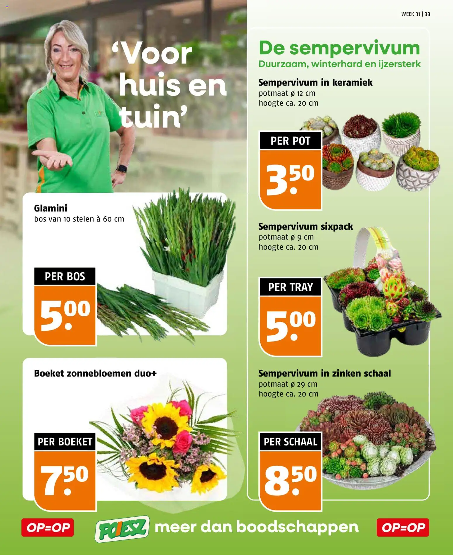 {H1} | Pagina: 33 | Producten: Pot, Schaal, Keramiek