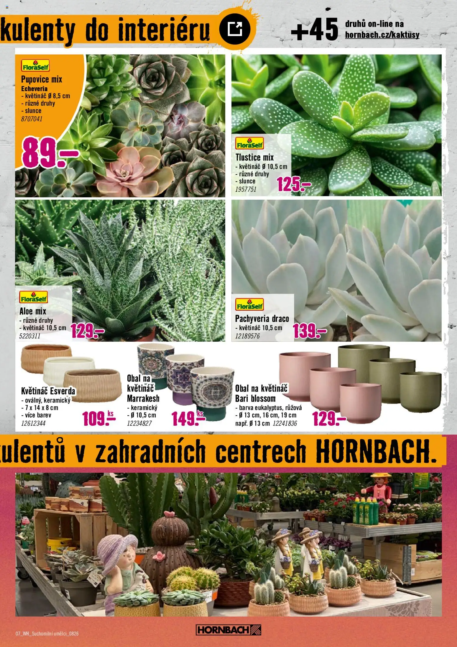 HORNBACH leták - Zelená střecha od 12.08.2026 | Strana: 7 | Produkty: Obal na květináč, Květináč