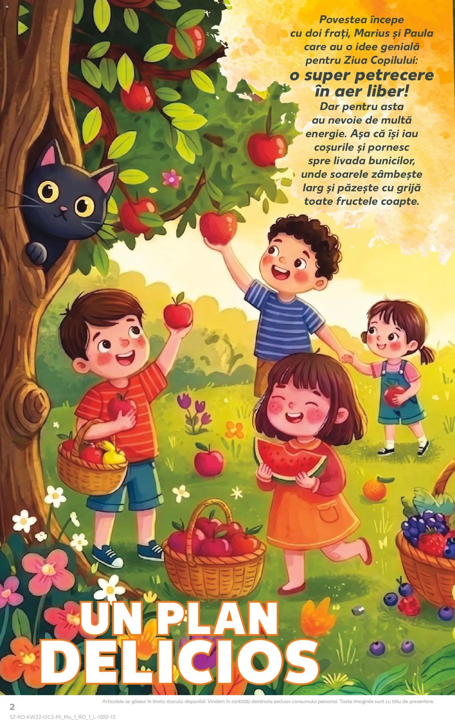 Noul catalog Kaufland – valabil de la 27.05.2026 | Pagină: 2