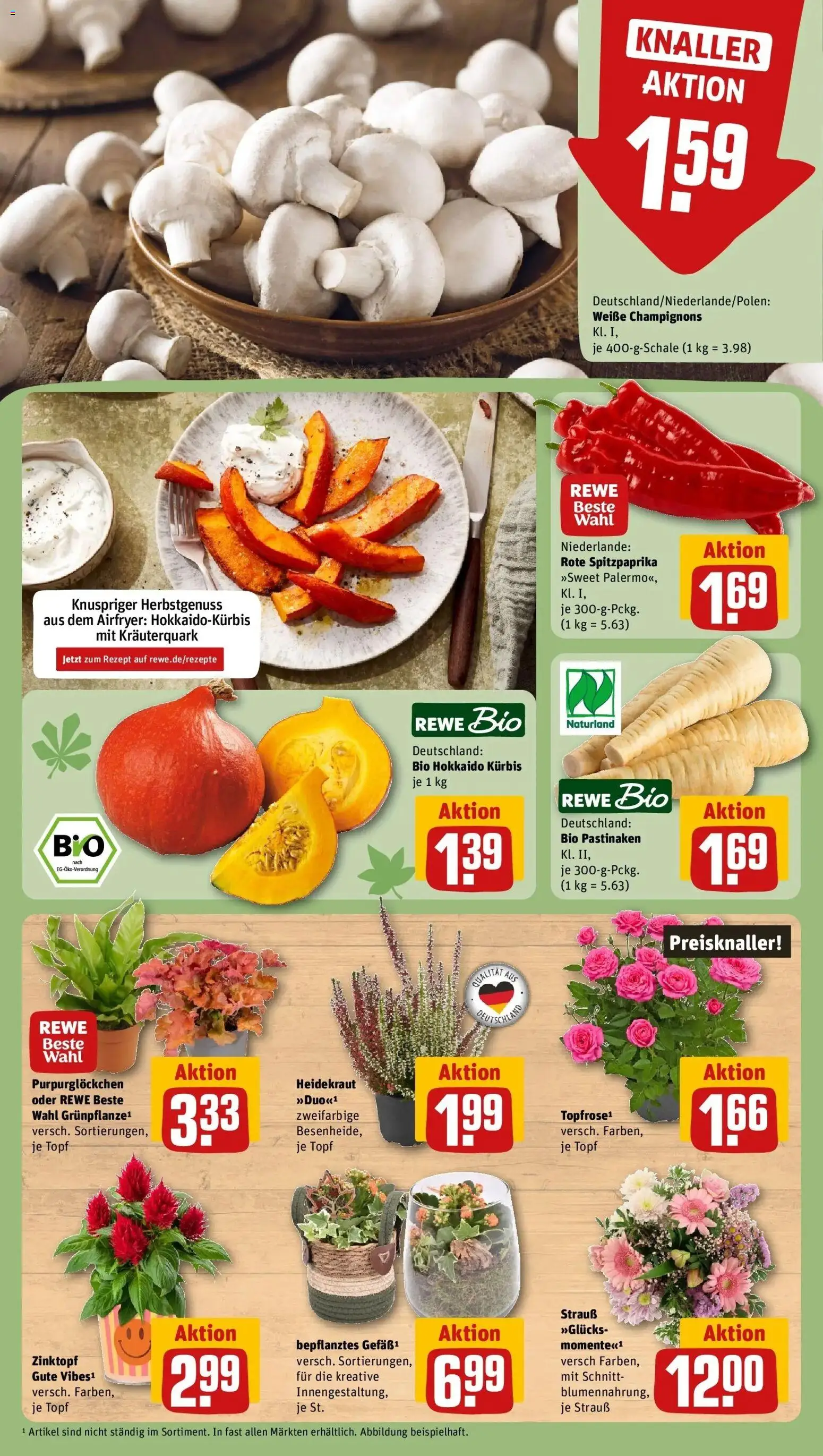 REWE Prospekt ab 28.09.2026 zum Blättern » Angebote | Seite: 13 | Produkte: Champignons, Kürbis