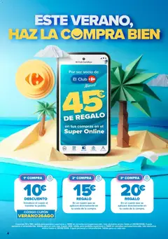 Vista previa Carrefour folleto válido desde el 11/08/2026 | Página: 29 | Productos: Cesta