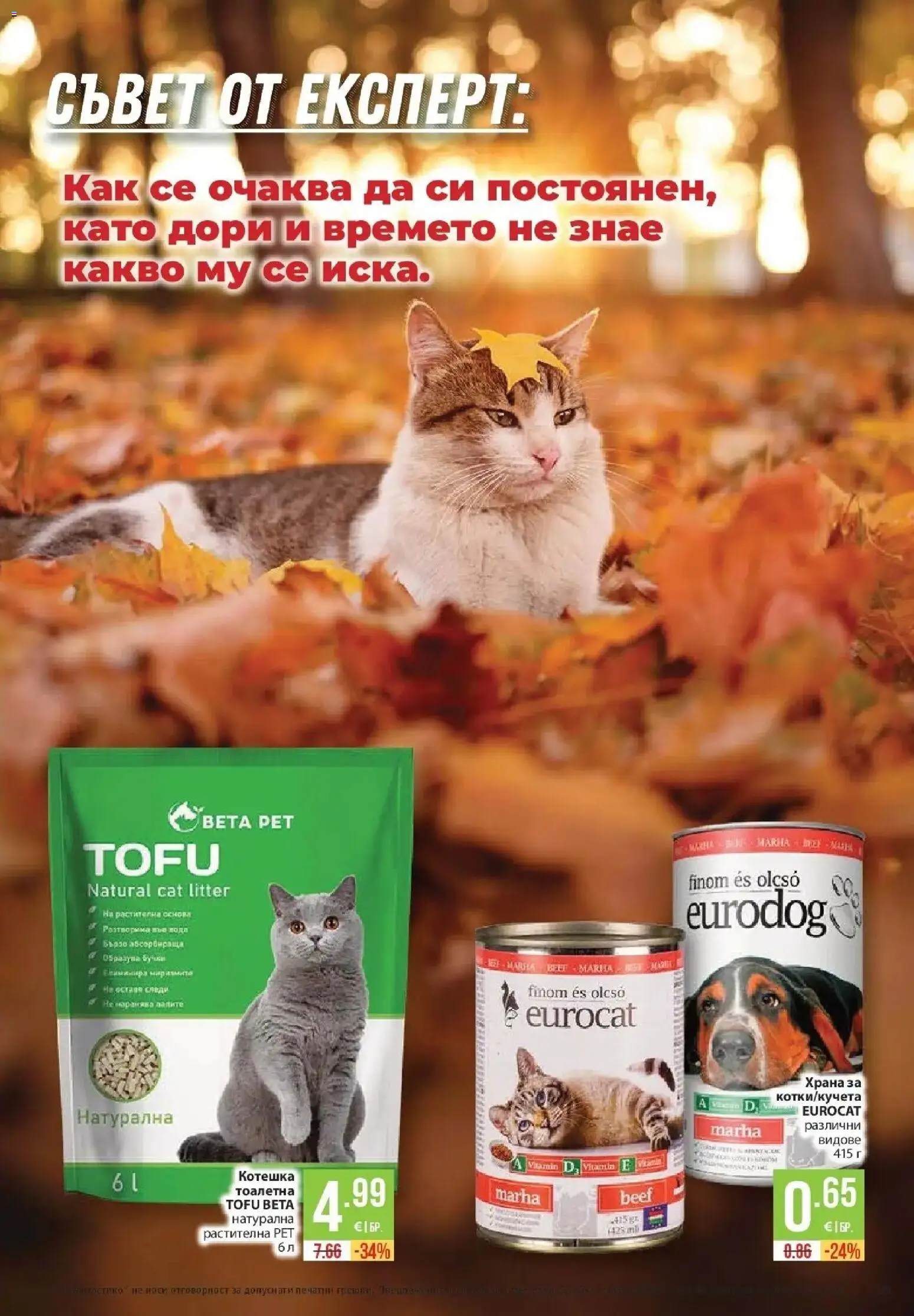 Нова Фантастико брошура София от 22.10.2026 | Страница: 63 | Продукти: Тоалетна, Котешка тоалетна