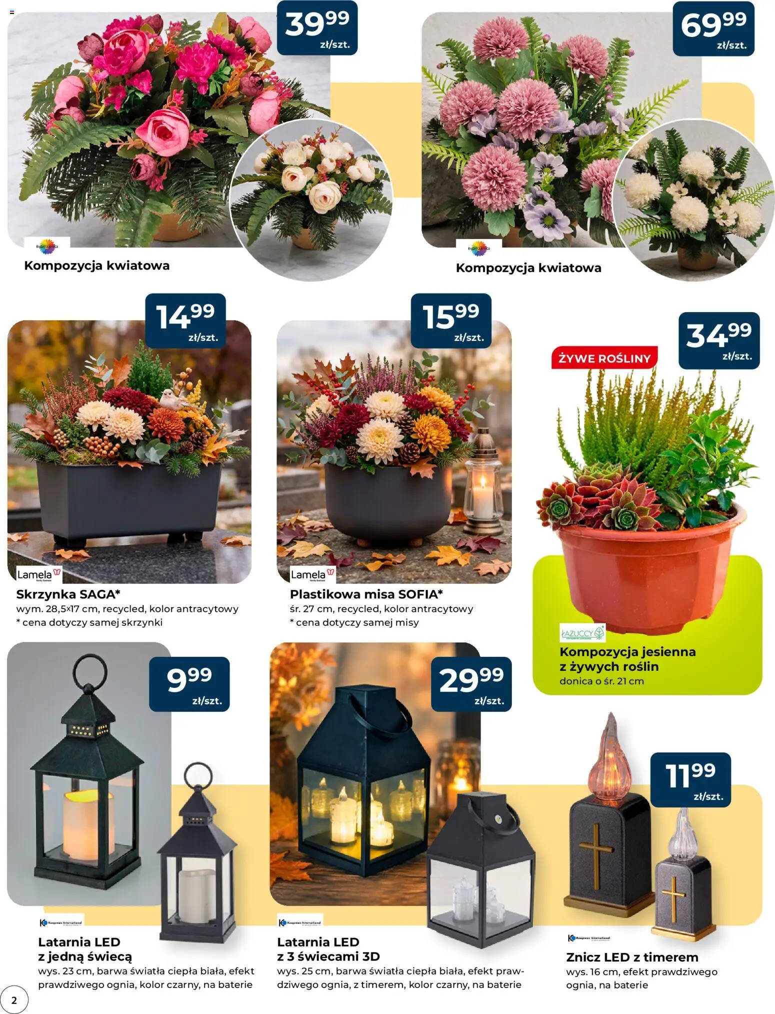 Mrówka gazetka - Malbork od 08.10.2026 | Strona: 2 | Produkty: Znicz LED, Świeca, Baterie, Rosliny