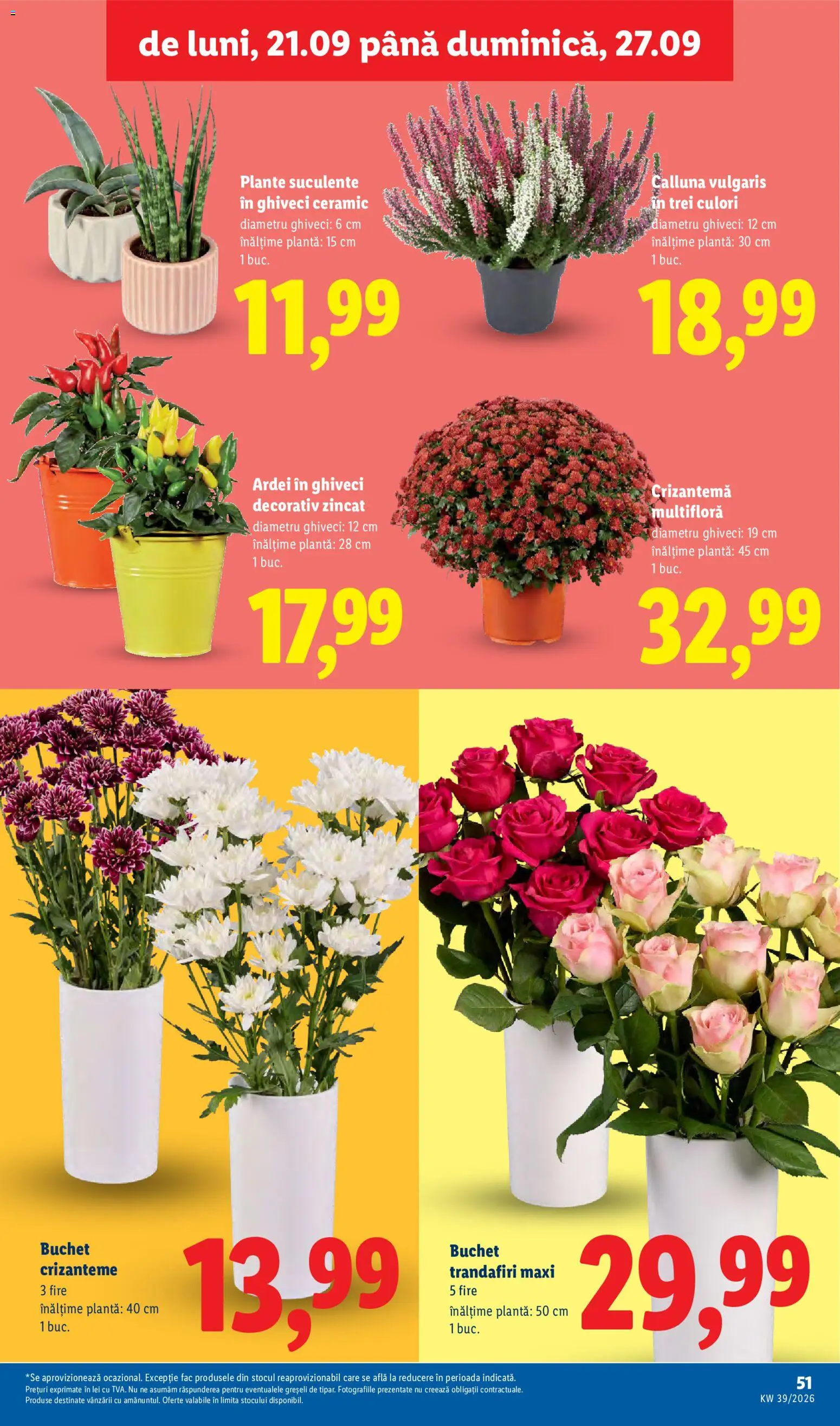 Noul catalog Lidl – valabil de la 21.09.2026 | Pagină: 51