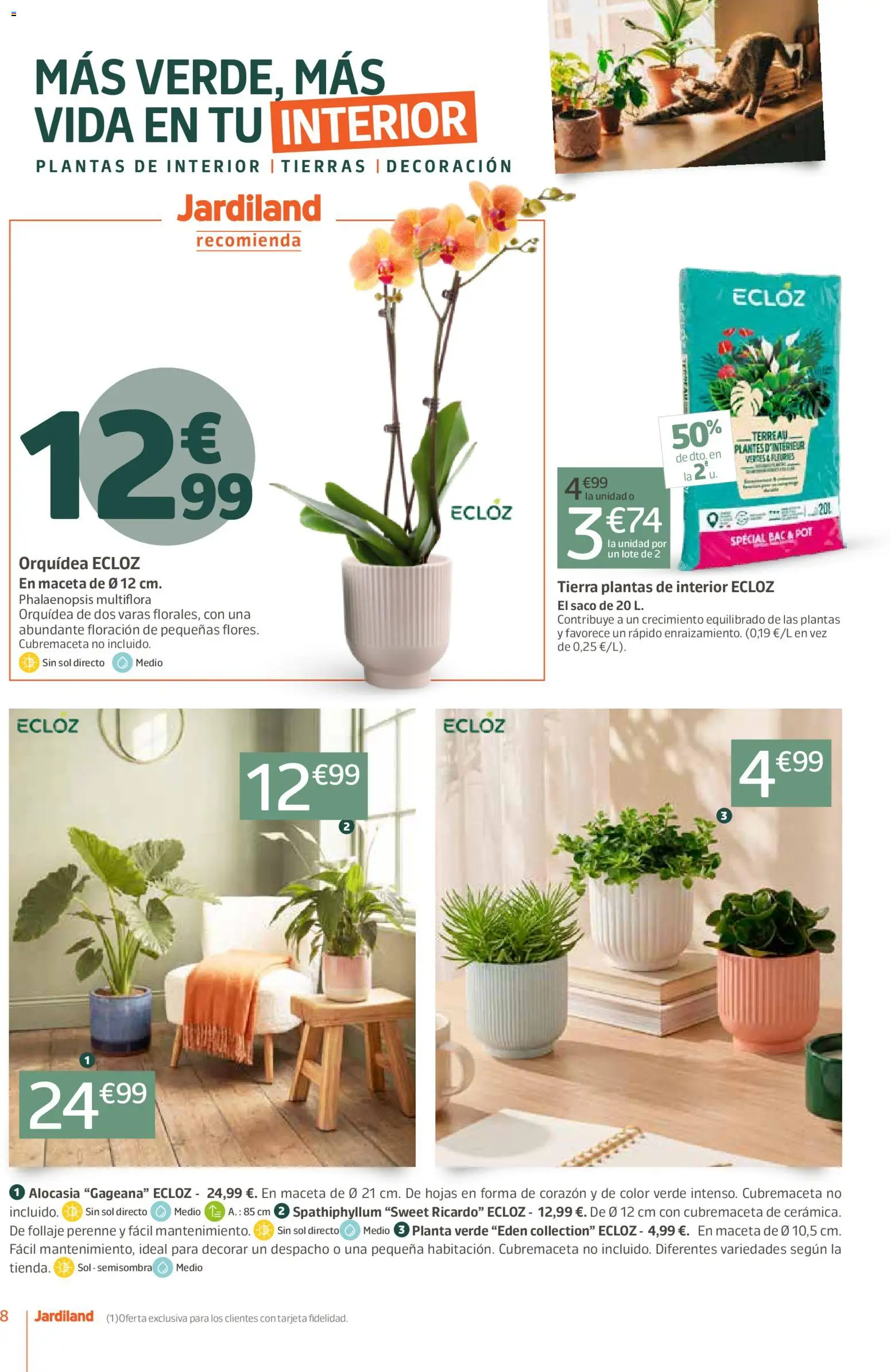 Jardiland folleto │ válido desde el 01/10/2026 | Página: 8 | Productos: Orquídea, Decoración, Tierra, Maceta
