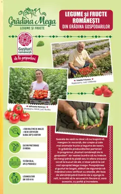 Ofertele Mega Image valabile de la 16.07.2026 | Pagină: 11