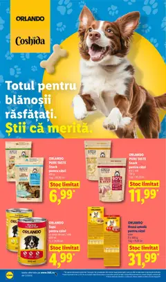 Ofertele Lidl valabile de la 29.06.2026 | Pagină: 40