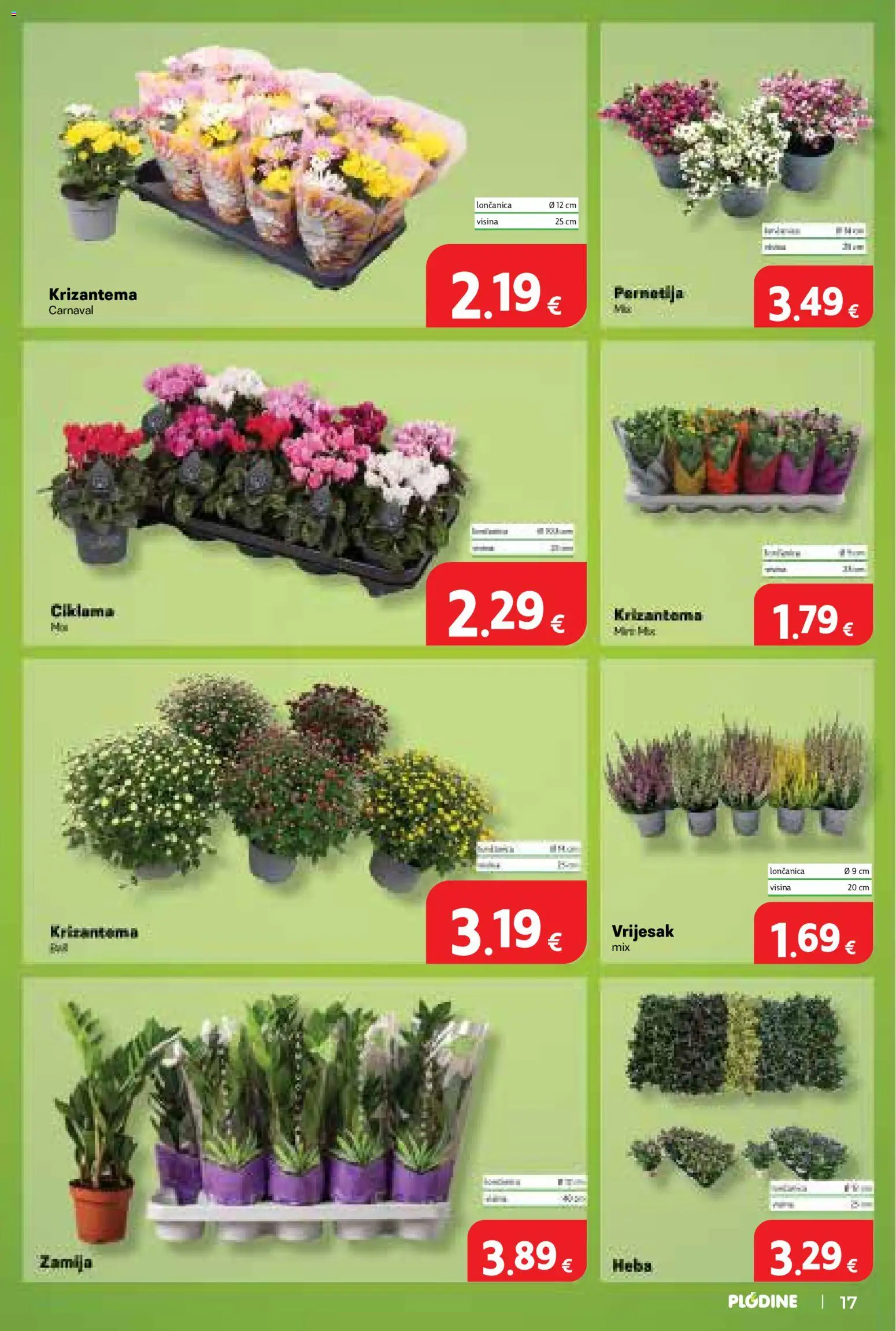 Plodine katalog | vrijedi od 09.09.2026 | Stranica: 17 | Proizvodi: Vrijesak, Loncanica