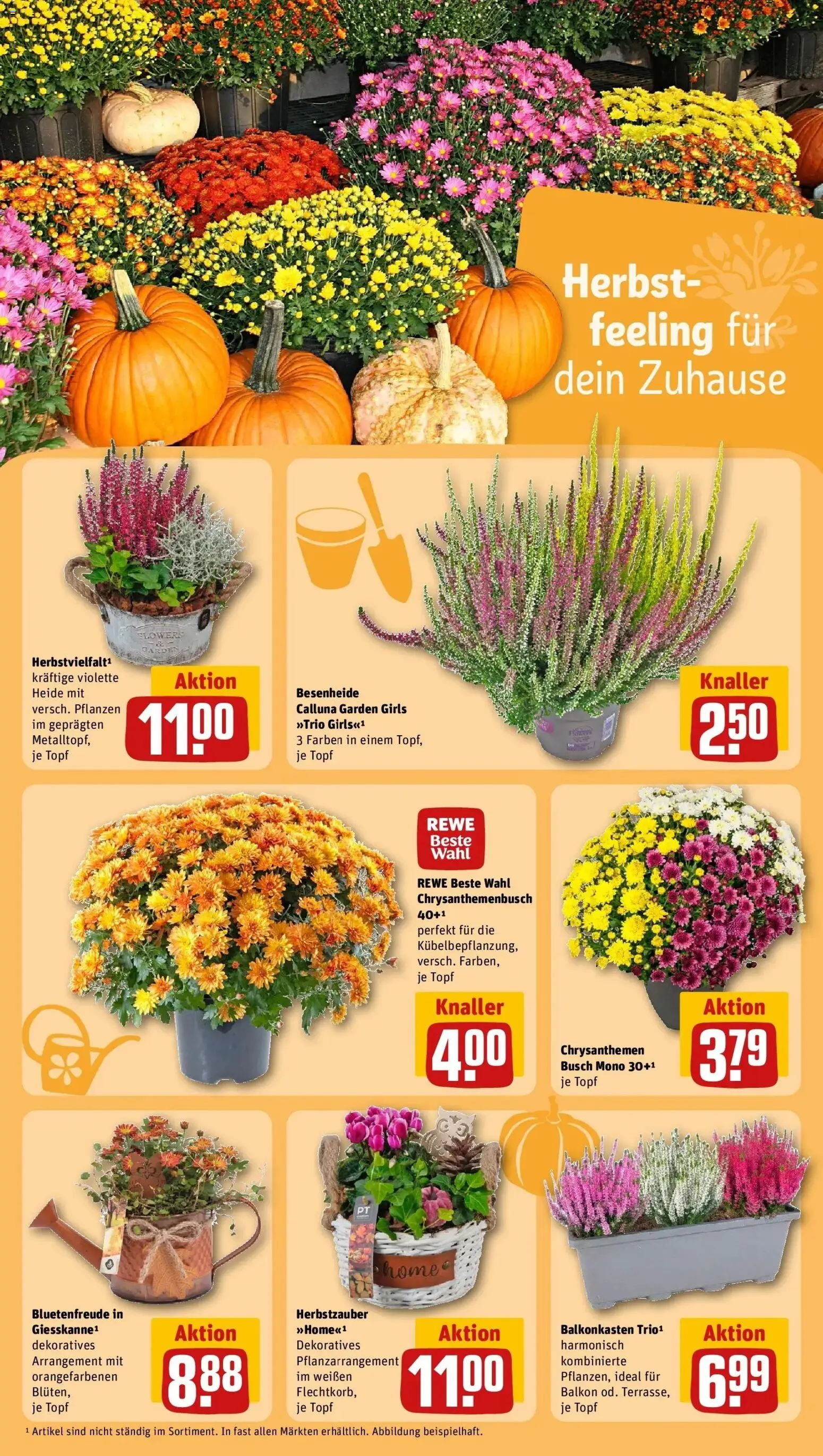 REWE Prospekt ab 21.09.2026 zum Blättern » Angebote | Seite: 20