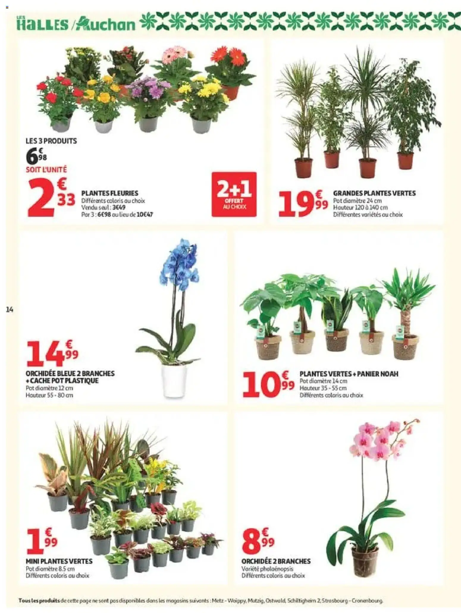 {H1} | Page: 14 | Produits: Plantes, Orchidée, Panier, Plantes vertes