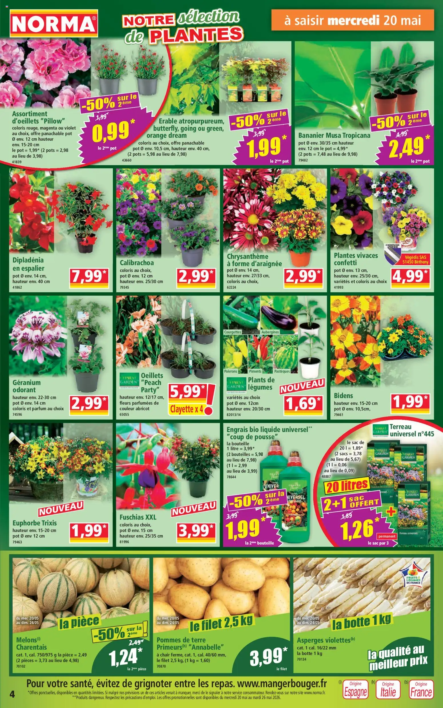 {H1} | Page: 4 | Produits: Orange, Bananier, Plantes, Géranium