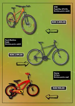 Ofertele Hervis valabile de la 01.05.2026 | Pagină: 3 | Produse: Disc, Dana kuşbaşı