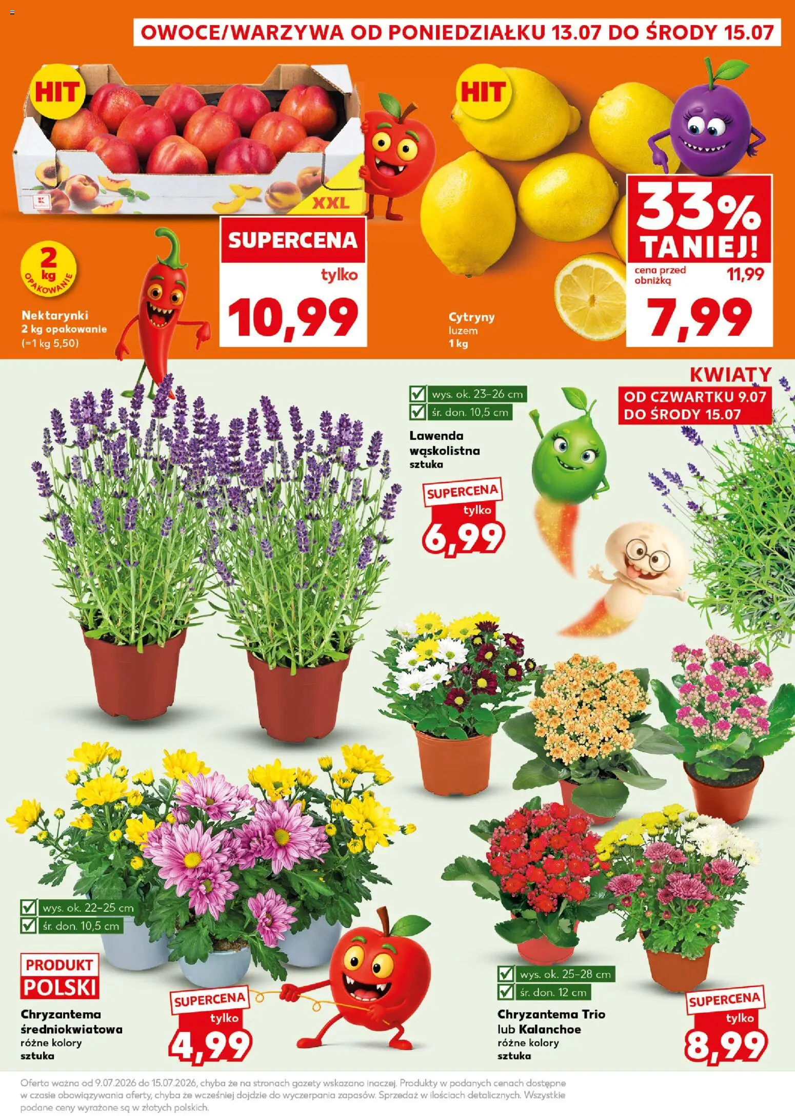 Kaufland Polsko leták - Mocny start od 13.07.2026 | Strana: 3 | Produkty: Kalanchoe