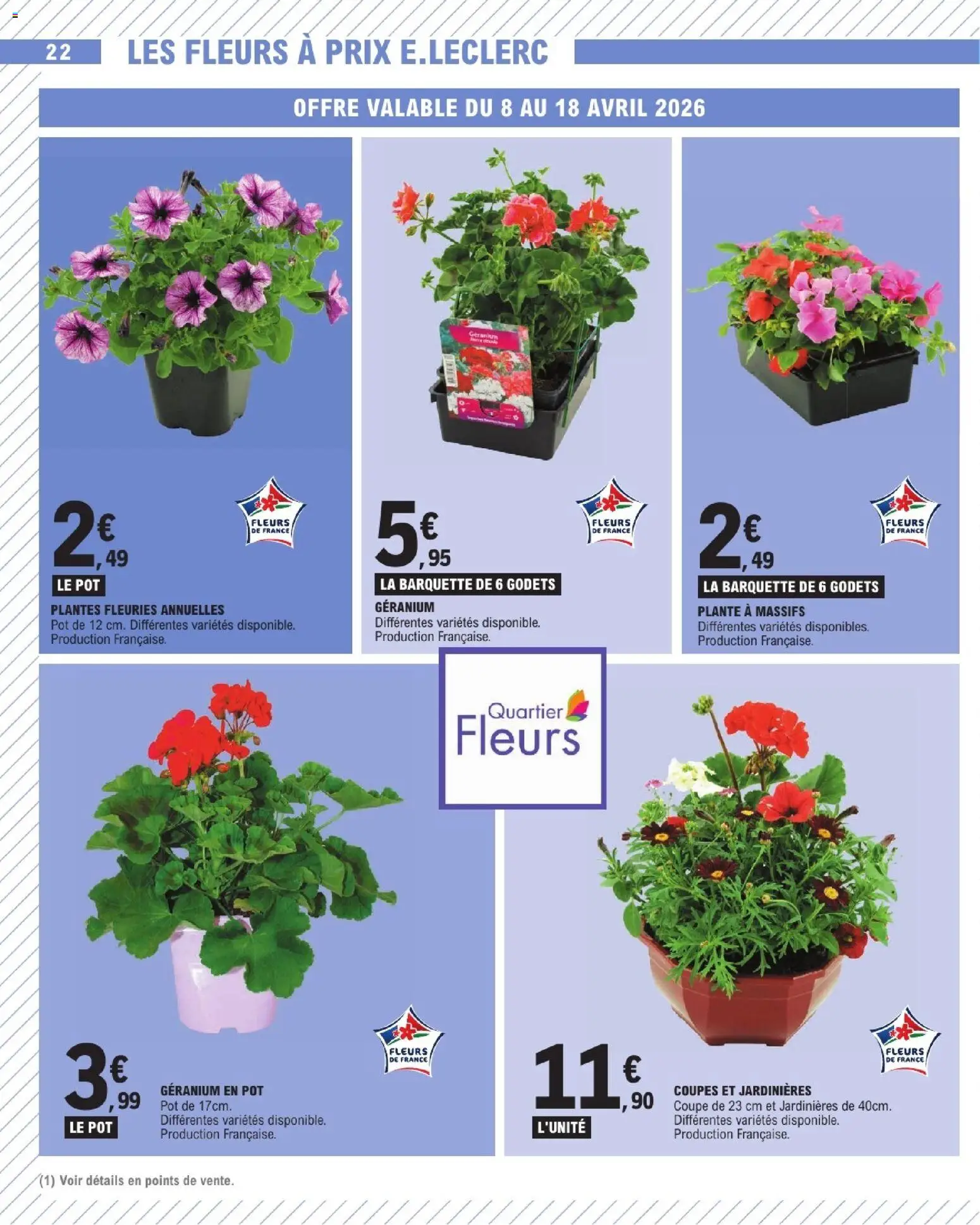 {H1} | Page: 22 | Produits: Plantes, Géranium