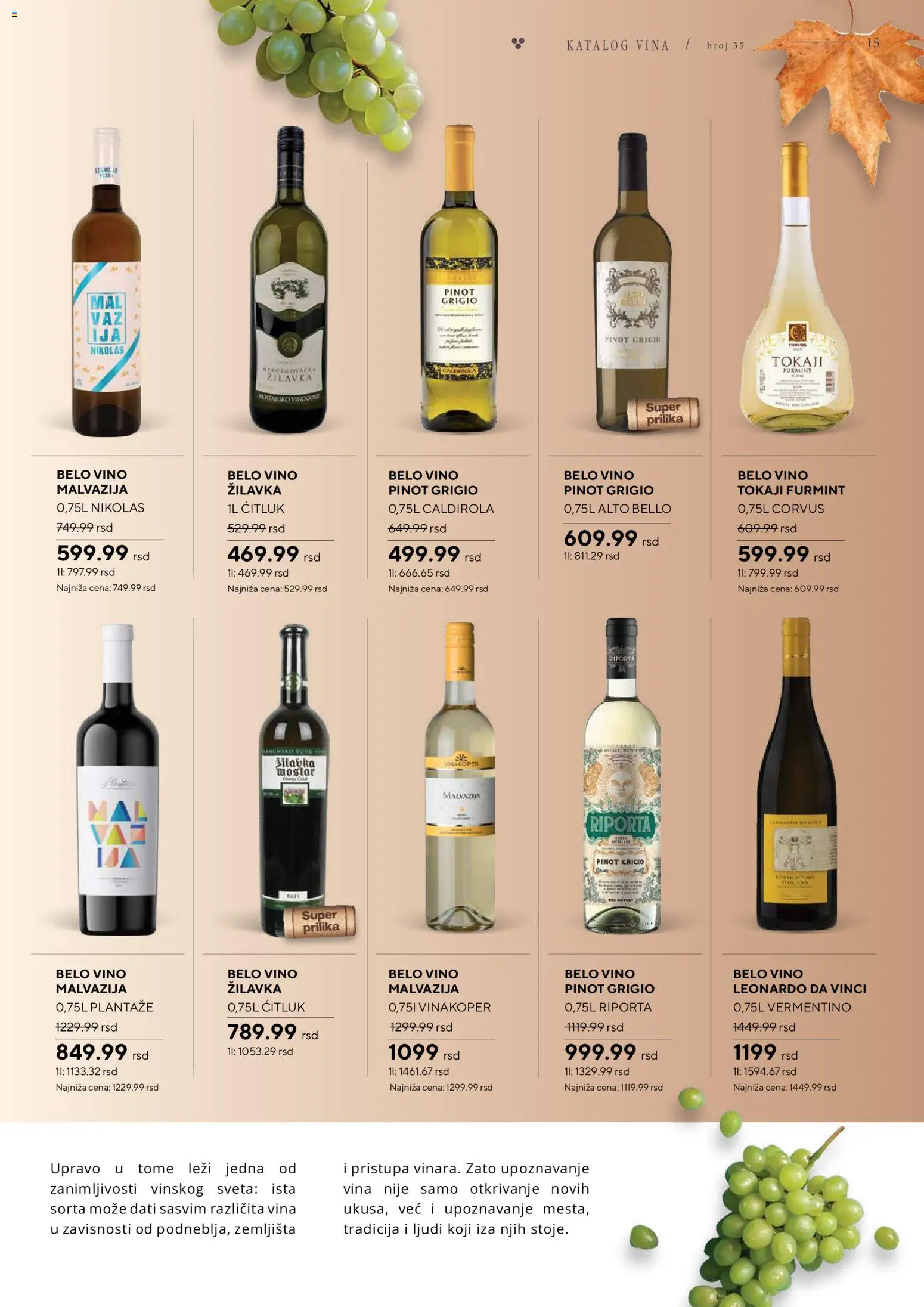 Idea katalog - važi od 26.10.2026 | Strana: 15 | Proizvode: Pinot grigio, Belo vino, Vino