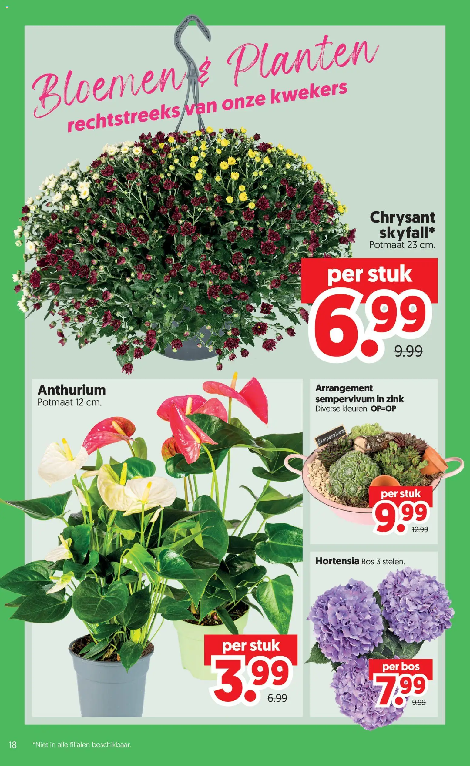 {H1} | Pagina: 20 | Producten: Bloemen