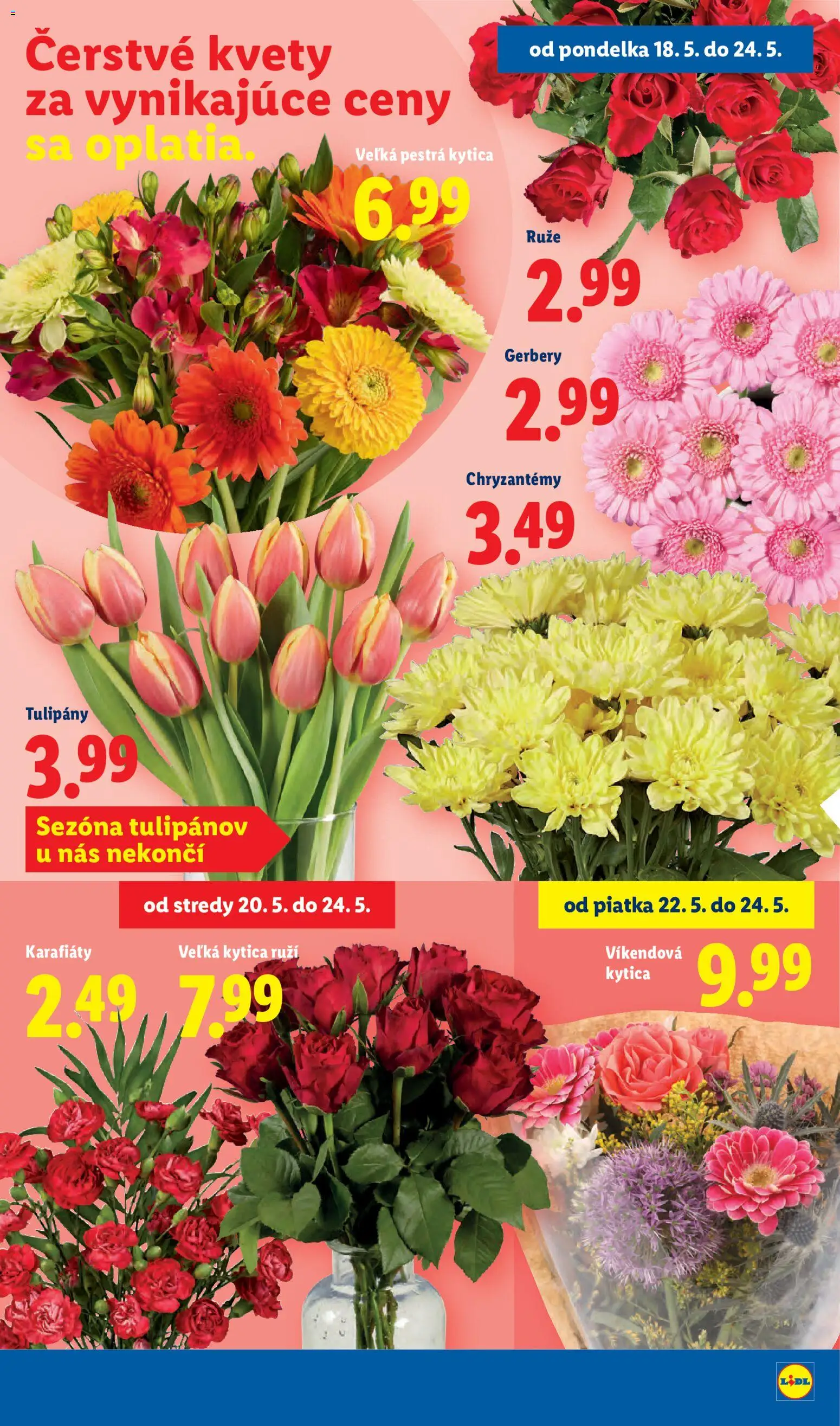 Nové Lidl akcie – leták je platný od 18.05.2026 | Strana: 33 | Produkty: Kvety, Tulipány, Ruže