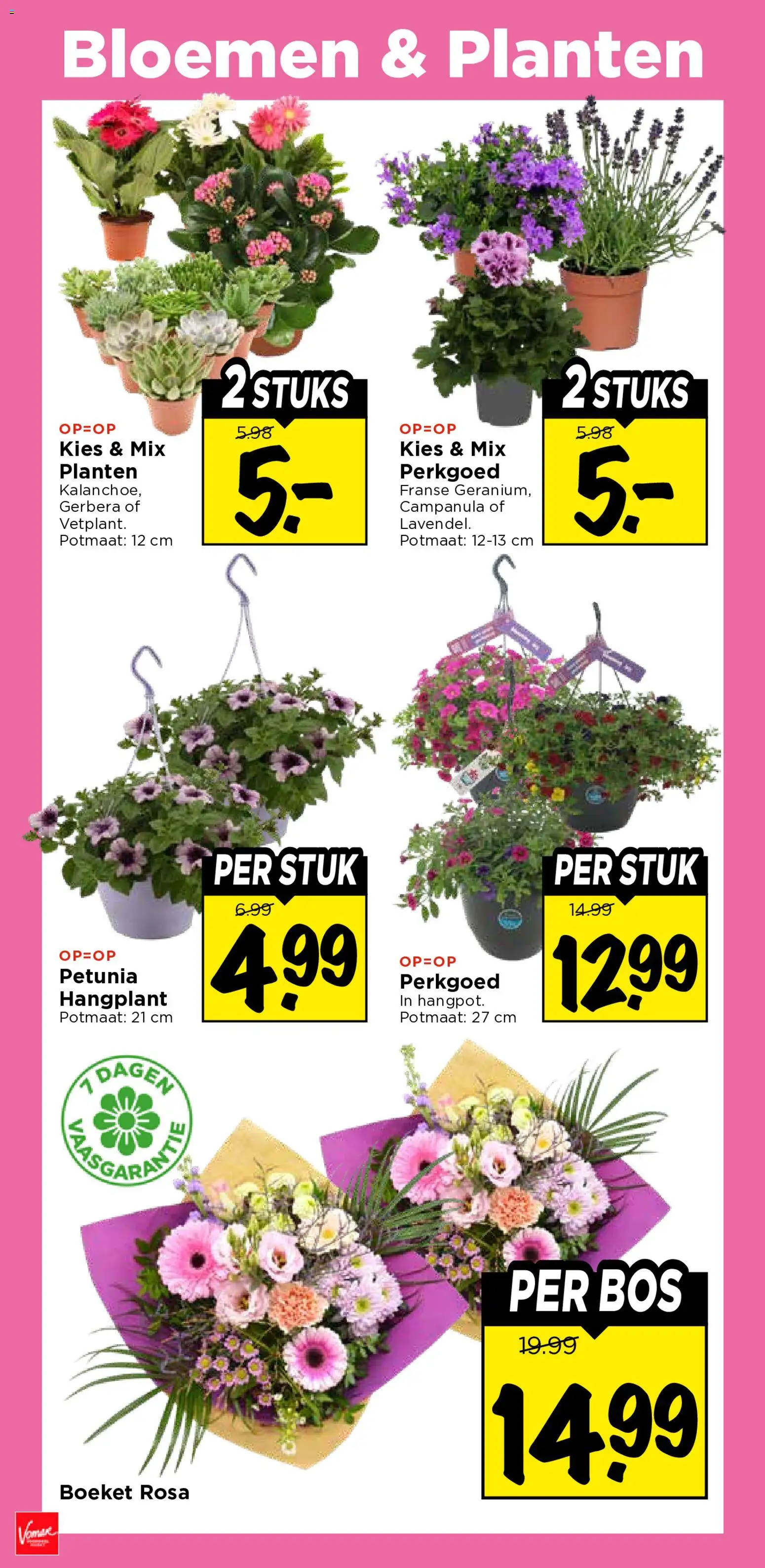 {H1} | Pagina: 30 | Producten: Bloemen