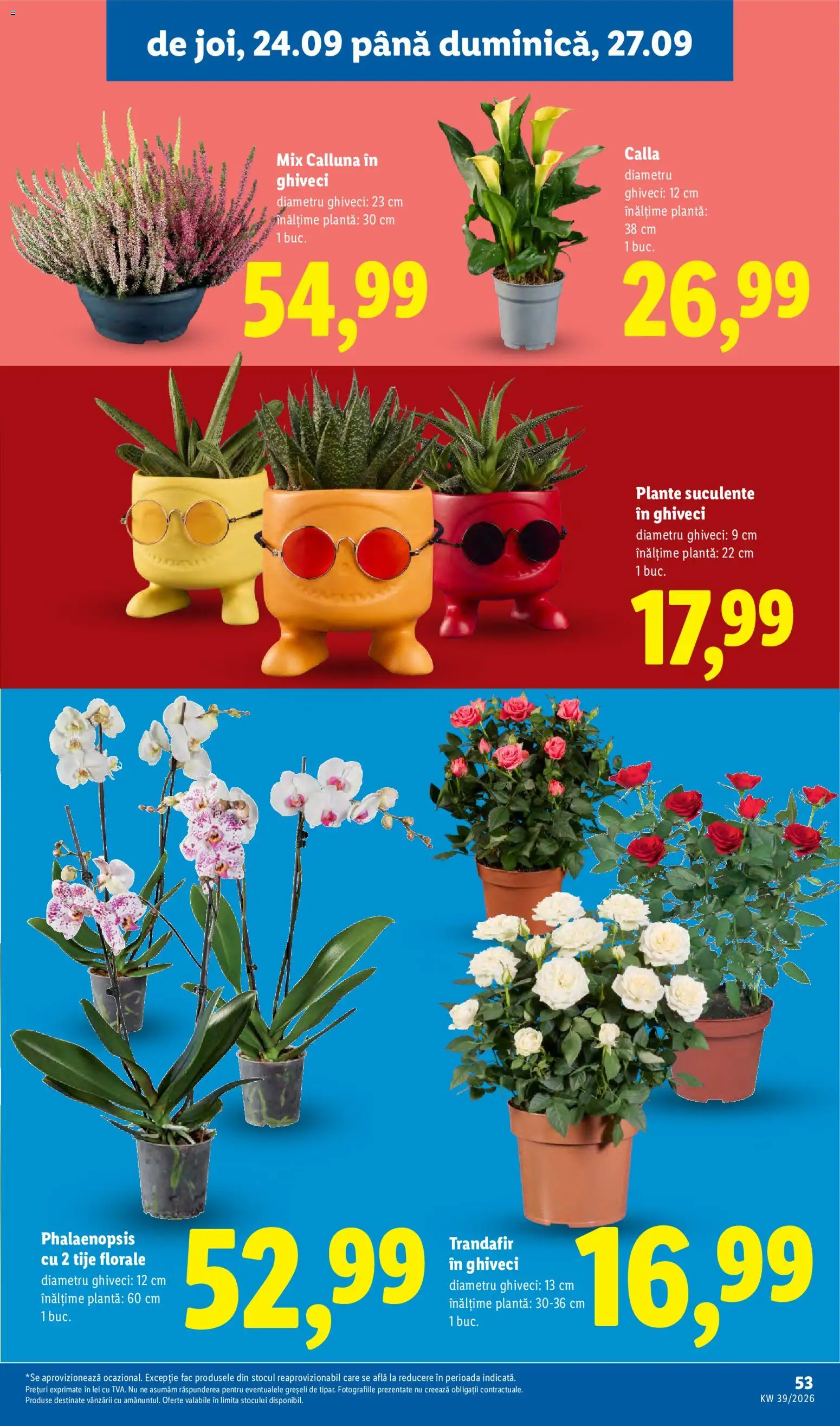 Noul catalog Lidl – valabil de la 21.09.2026 | Pagină: 53