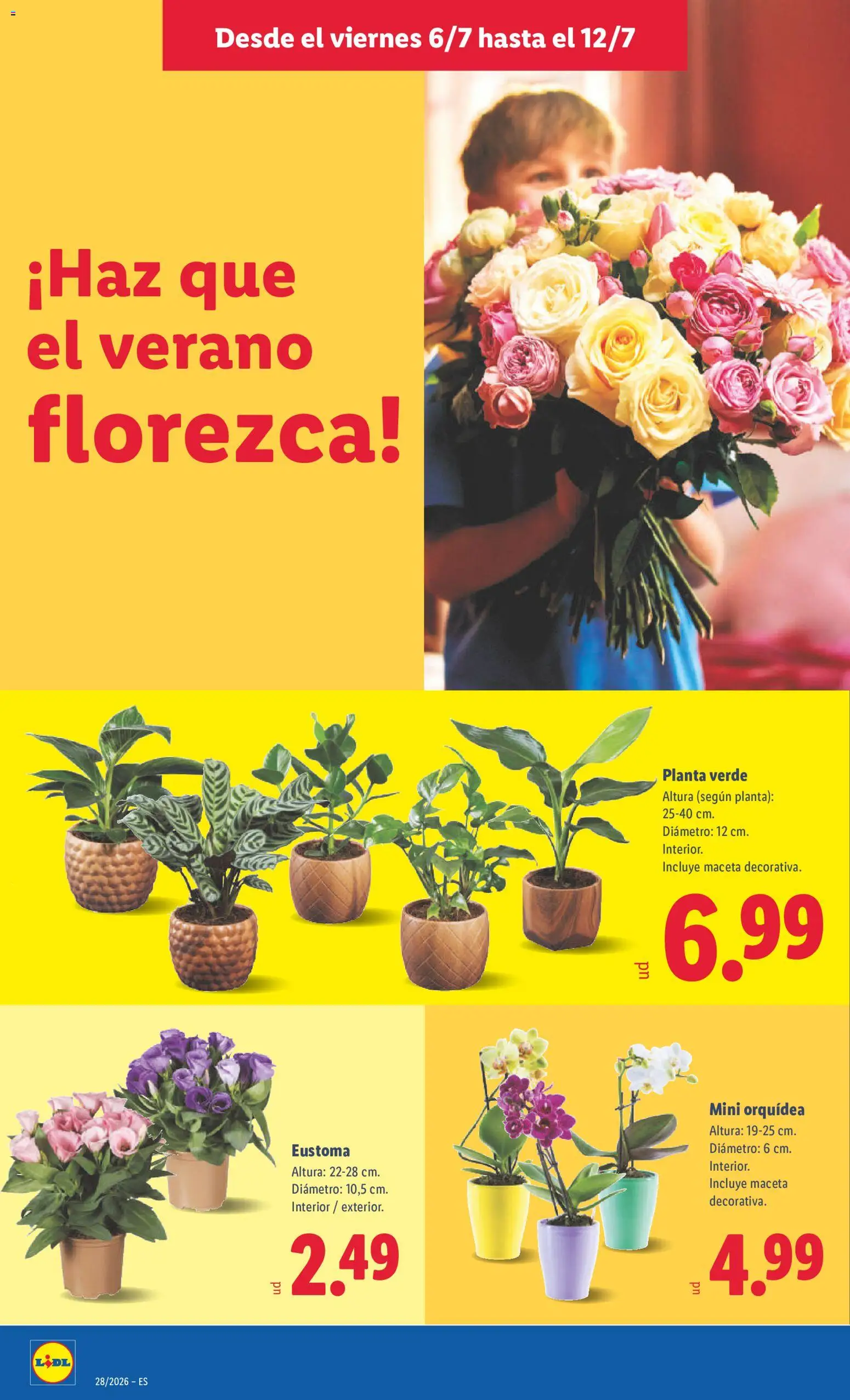 Lidl folleto │ válido desde el 06/07/2026 | Página: 58