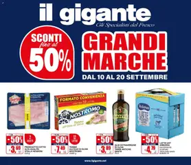 Anteprima del volantino Il Gigante volantino valido a partire dal 10/09/2026