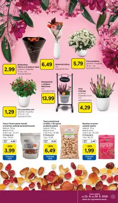 Tesco leták platný od 23.09.2026 | Strana: 13 | Produkty: Oriešky, Maliny