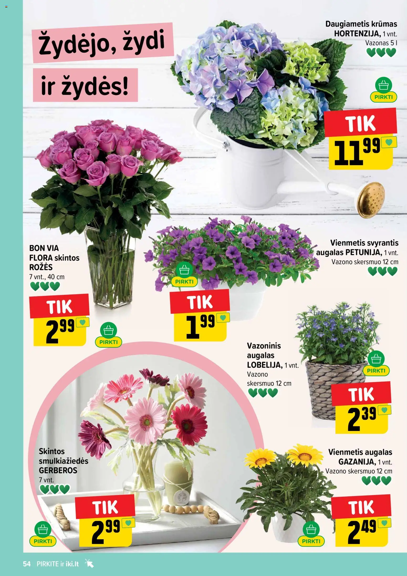 IKI akcijos nuo 01.06.2026 | Puslapis: 54