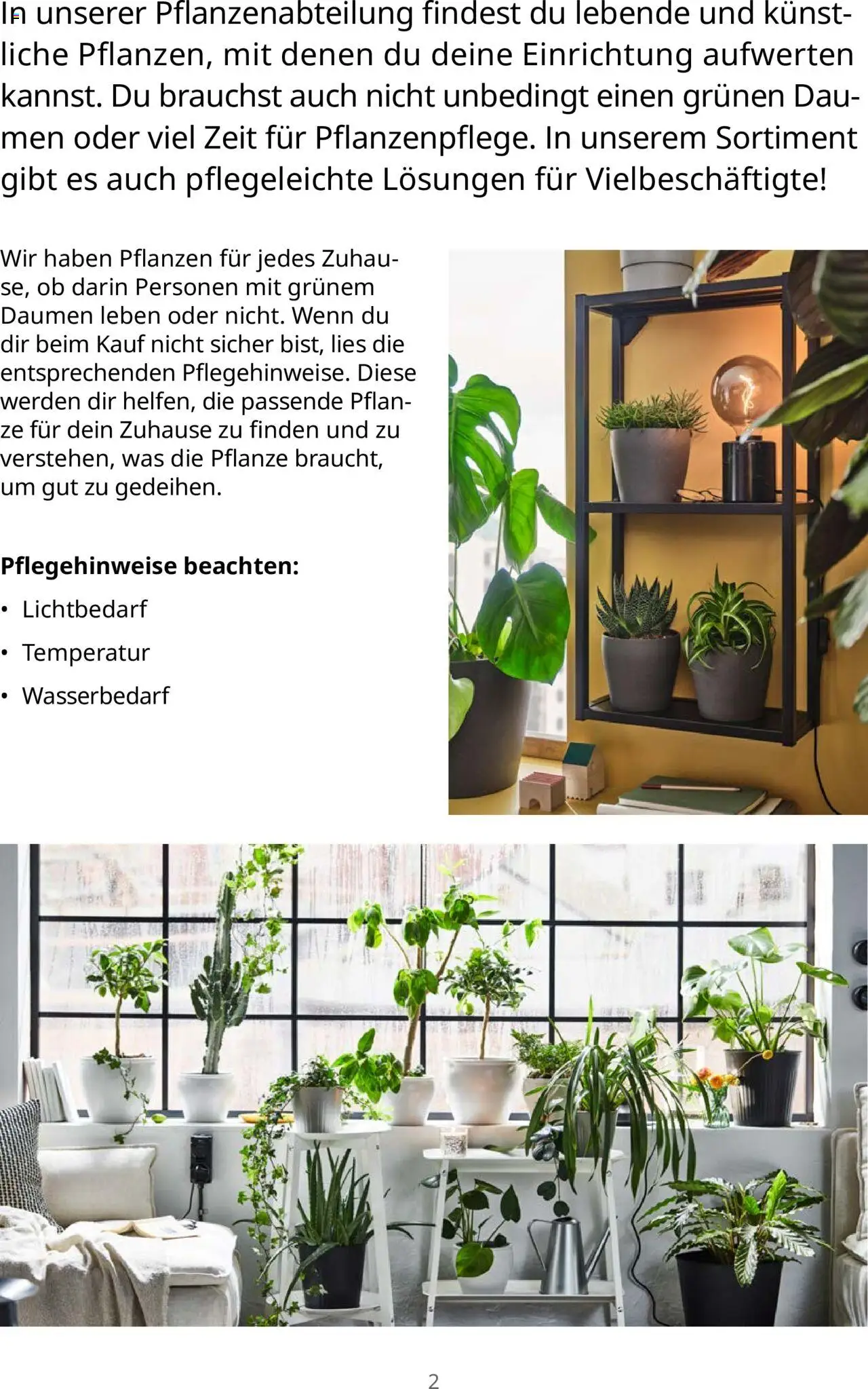 Ikea Pflanzen Broschüre – gültig ab 30.09.2025 | Seite: 2