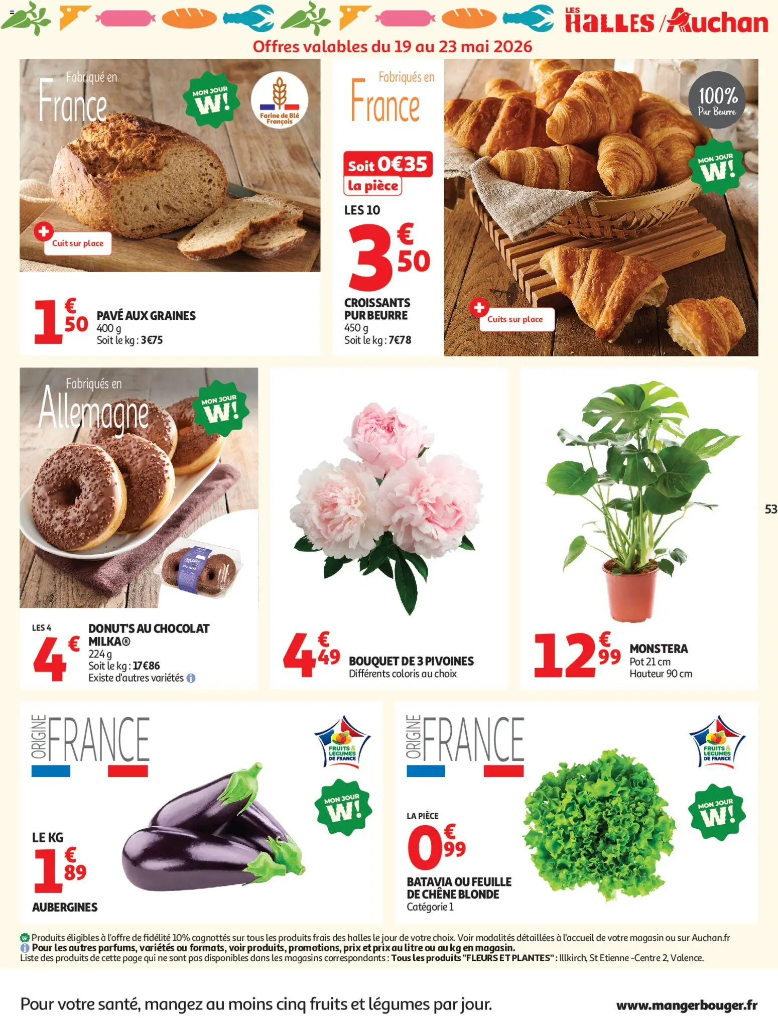 {H1} | Page: 54 | Produits: Farine de ble, Plantes, Farine, Fleurs et plantes