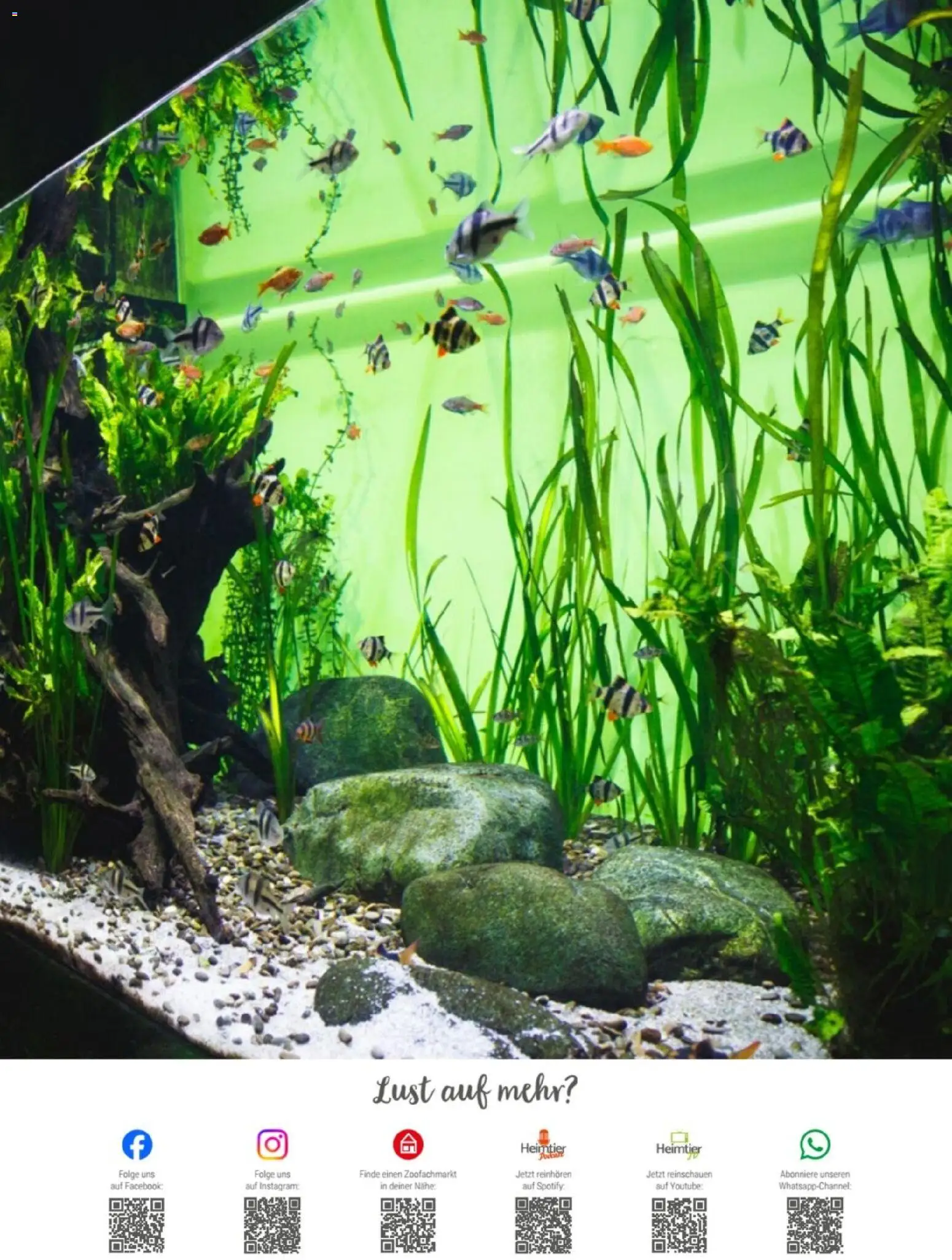 zookauf Themenkatalog Aqua – gültig ab 01.10.2026 | Seite: 3