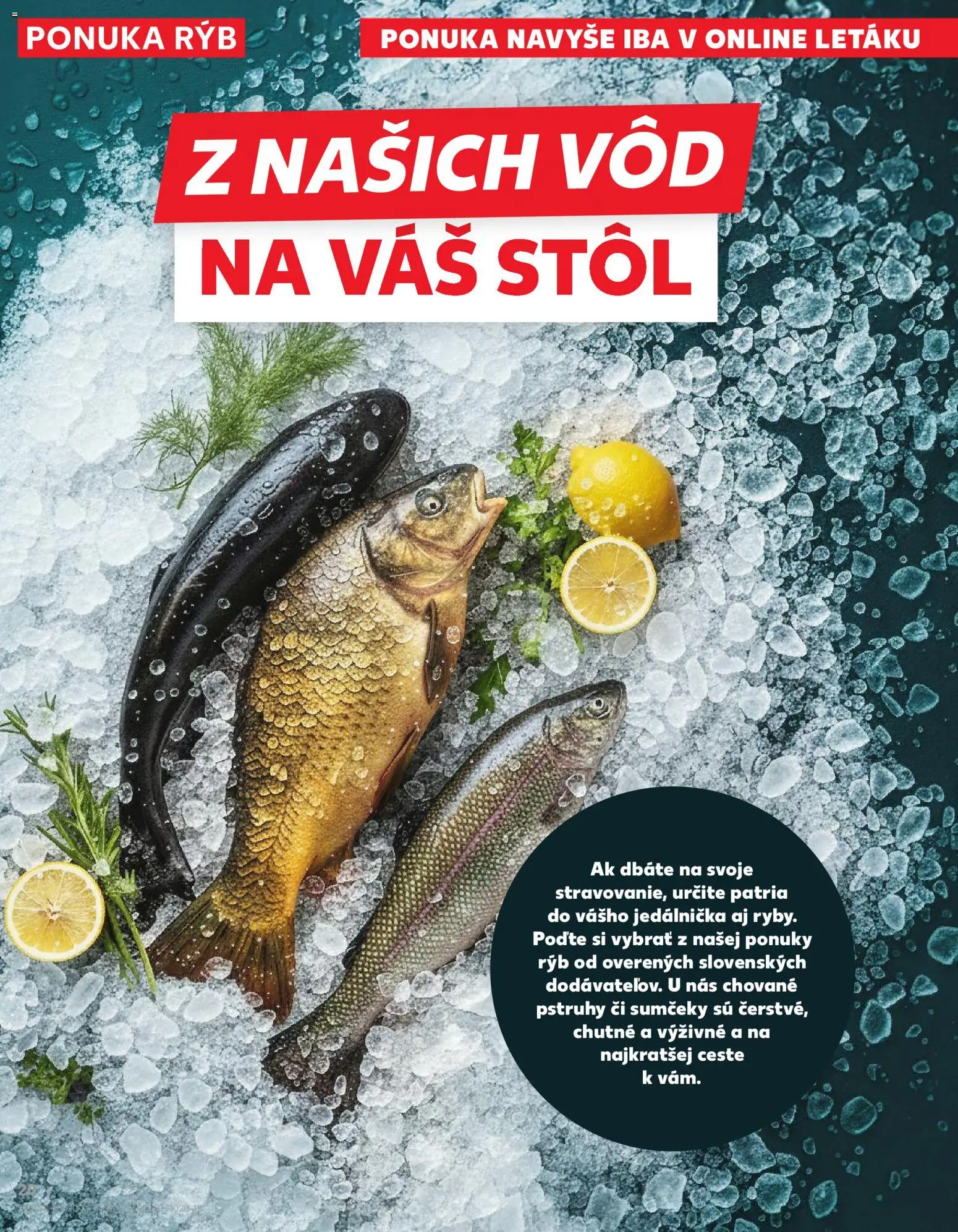 Kaufland SK akciós ujság - amely érvényes a következő dátumtól: 2026.03.05. | Oldal: 20 | Termékek: Vas