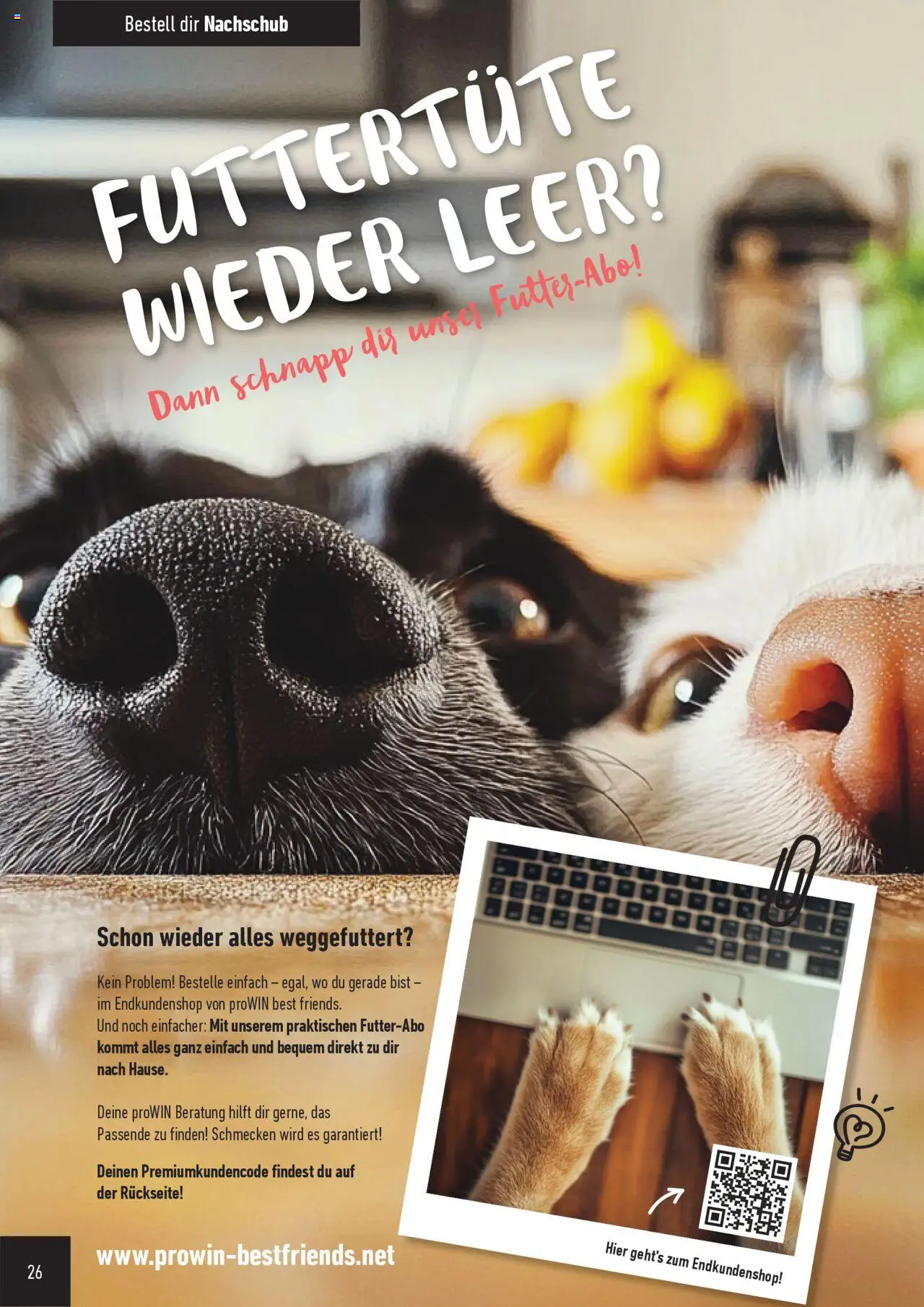 Katalog ProWin Best Friends Juli 2025/Juni 2026 – gültig ab 01.07.2025 | Seite: 26
