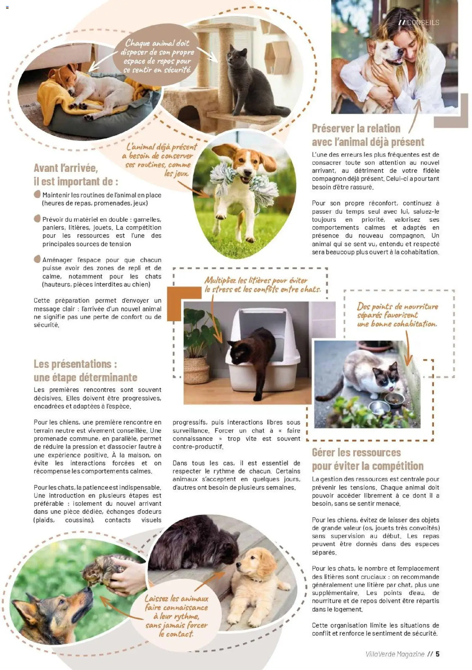 {H1} | Page: 5 | Produits: Jouets, Litière, Jeux, Magazine