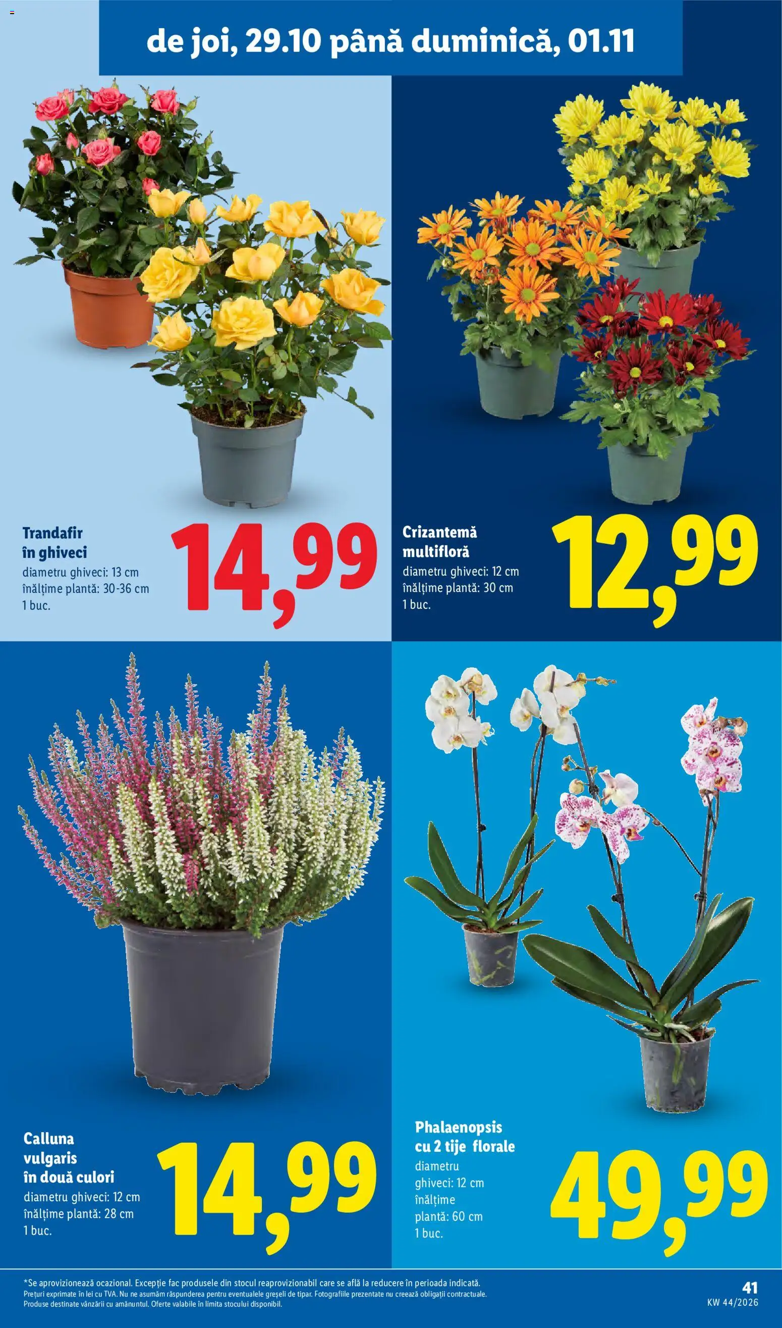 Noul catalog Lidl – valabil de la 26.10.2026 | Pagină: 41